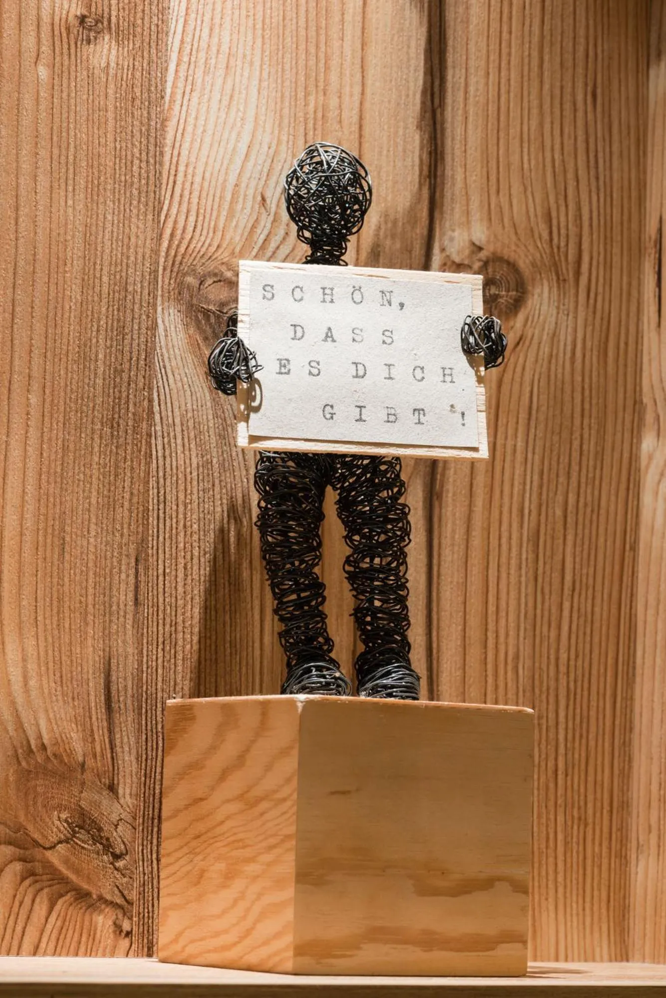 Area and facilities in Hotel Pension Fortuna