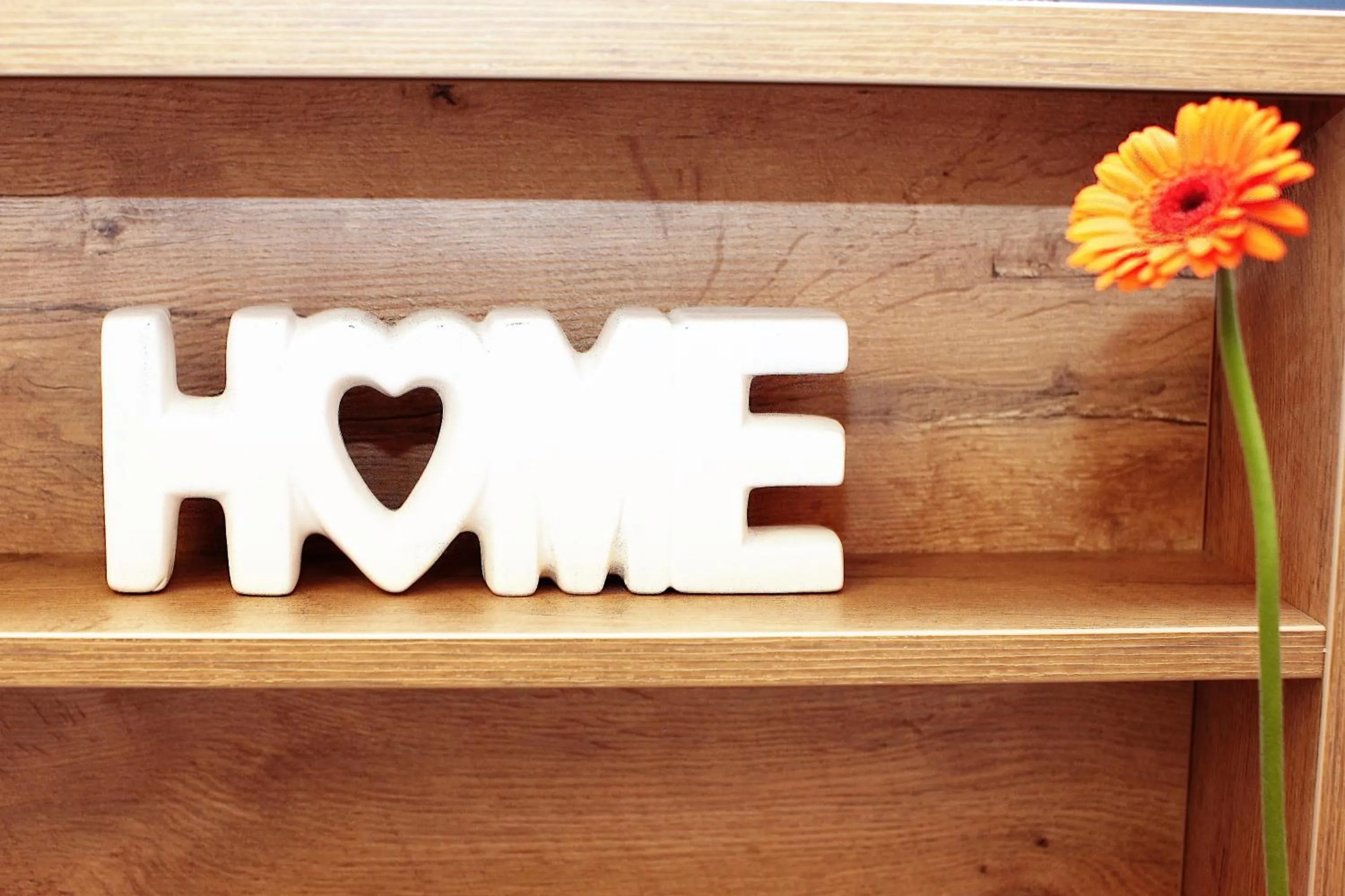 Area and facilities in Hotel Pension Fortuna