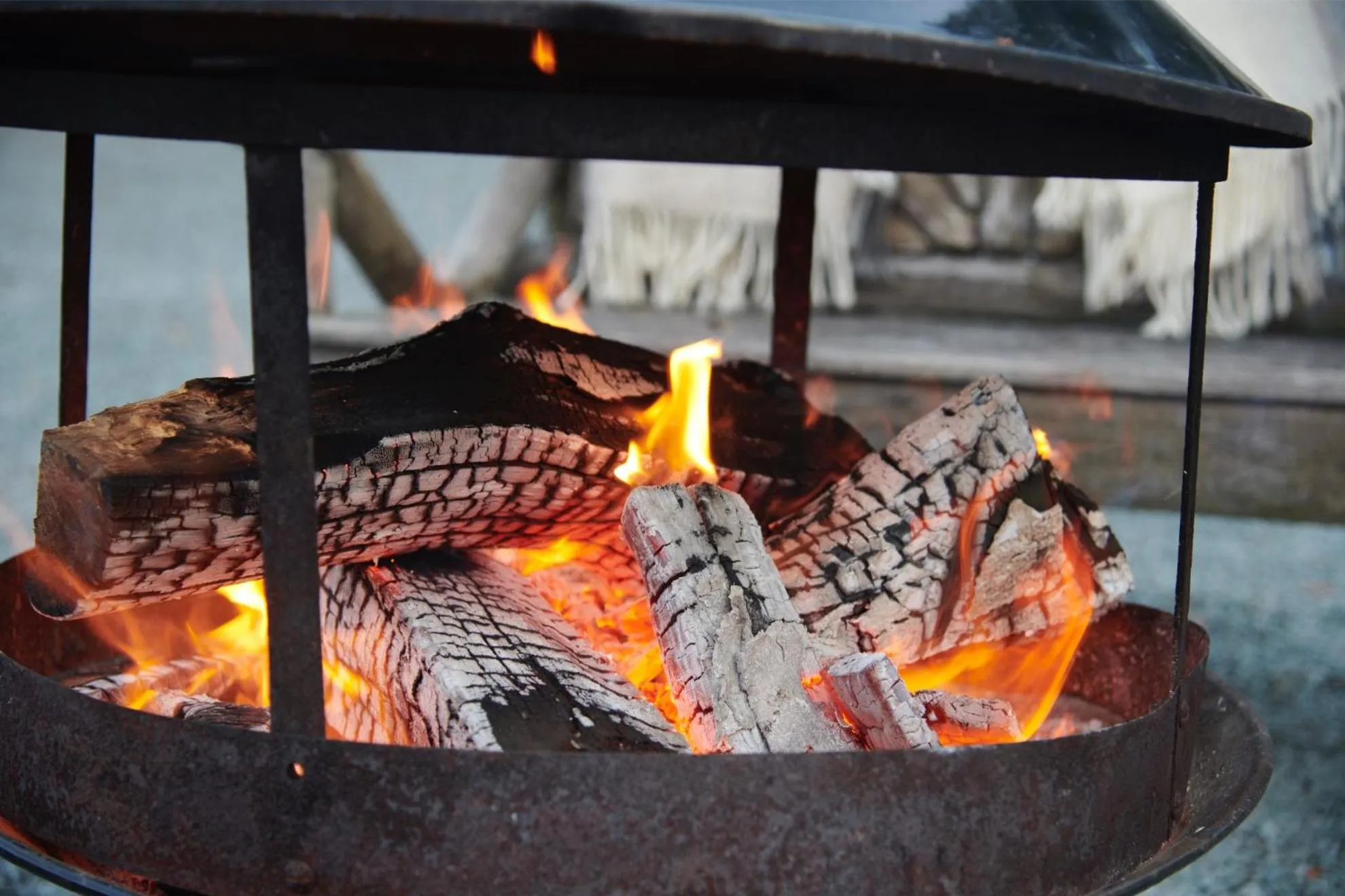 Garden in Newlands Farm Stables