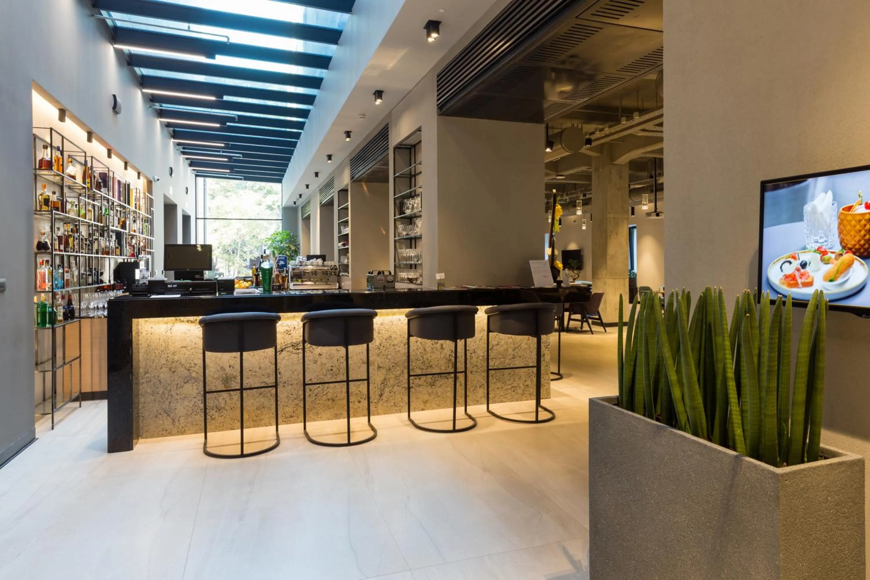 Lounge or bar in Hotel Mona Plaza