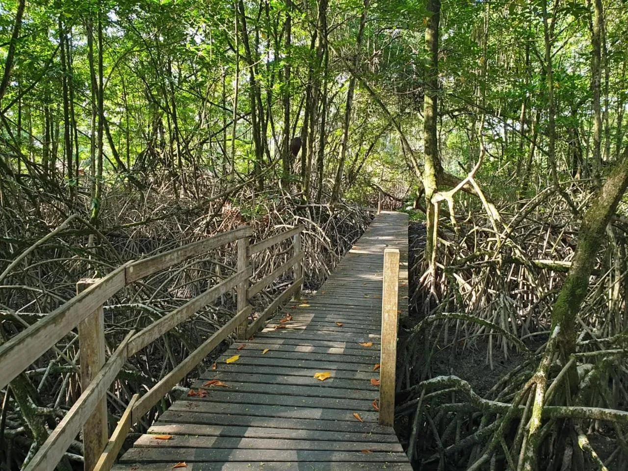 Hiking in Ma Chambre d’Hôte
