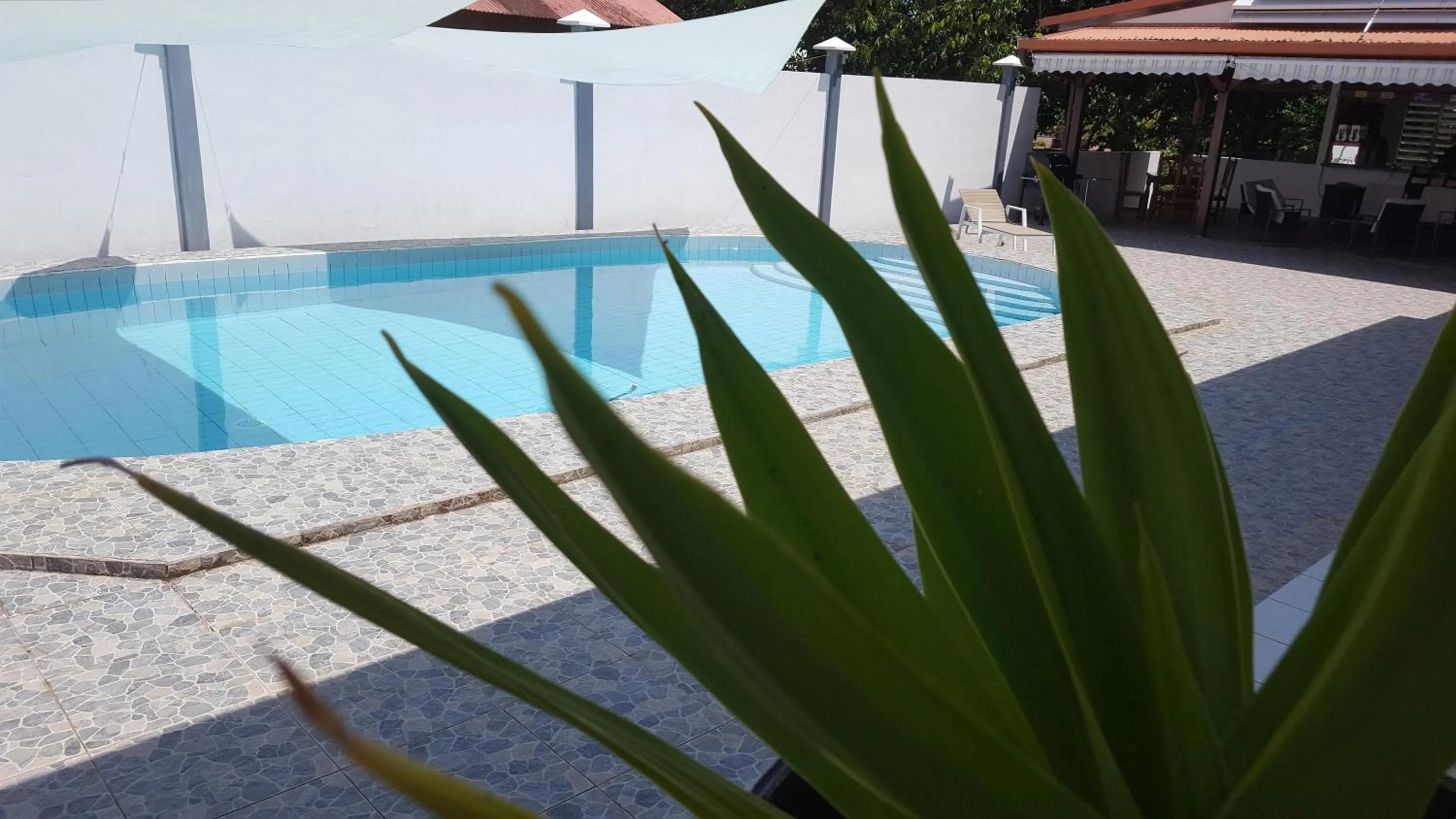 Pool view in Ma Chambre d’Hôte