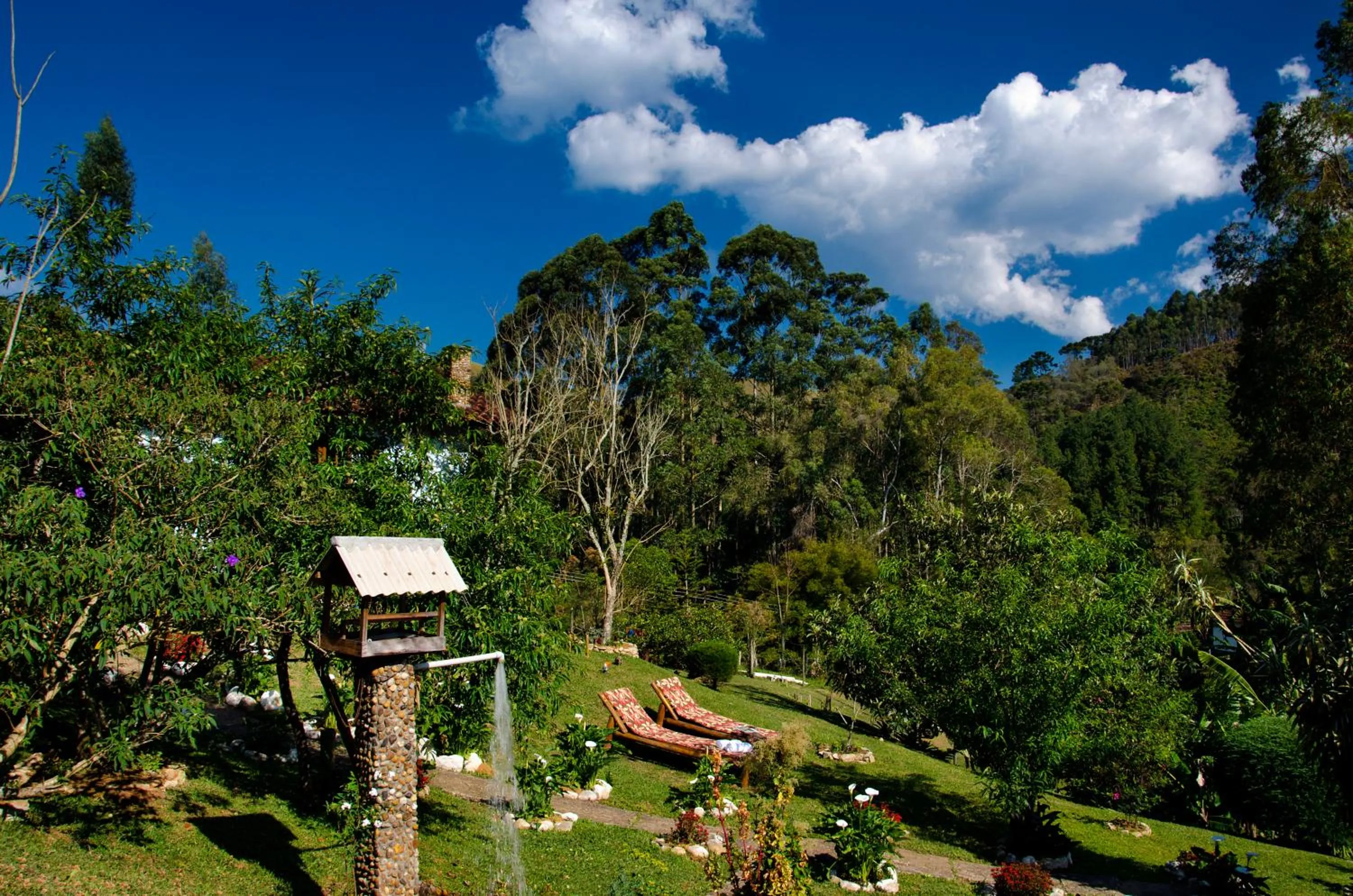 Garden in Pousada da Gruta