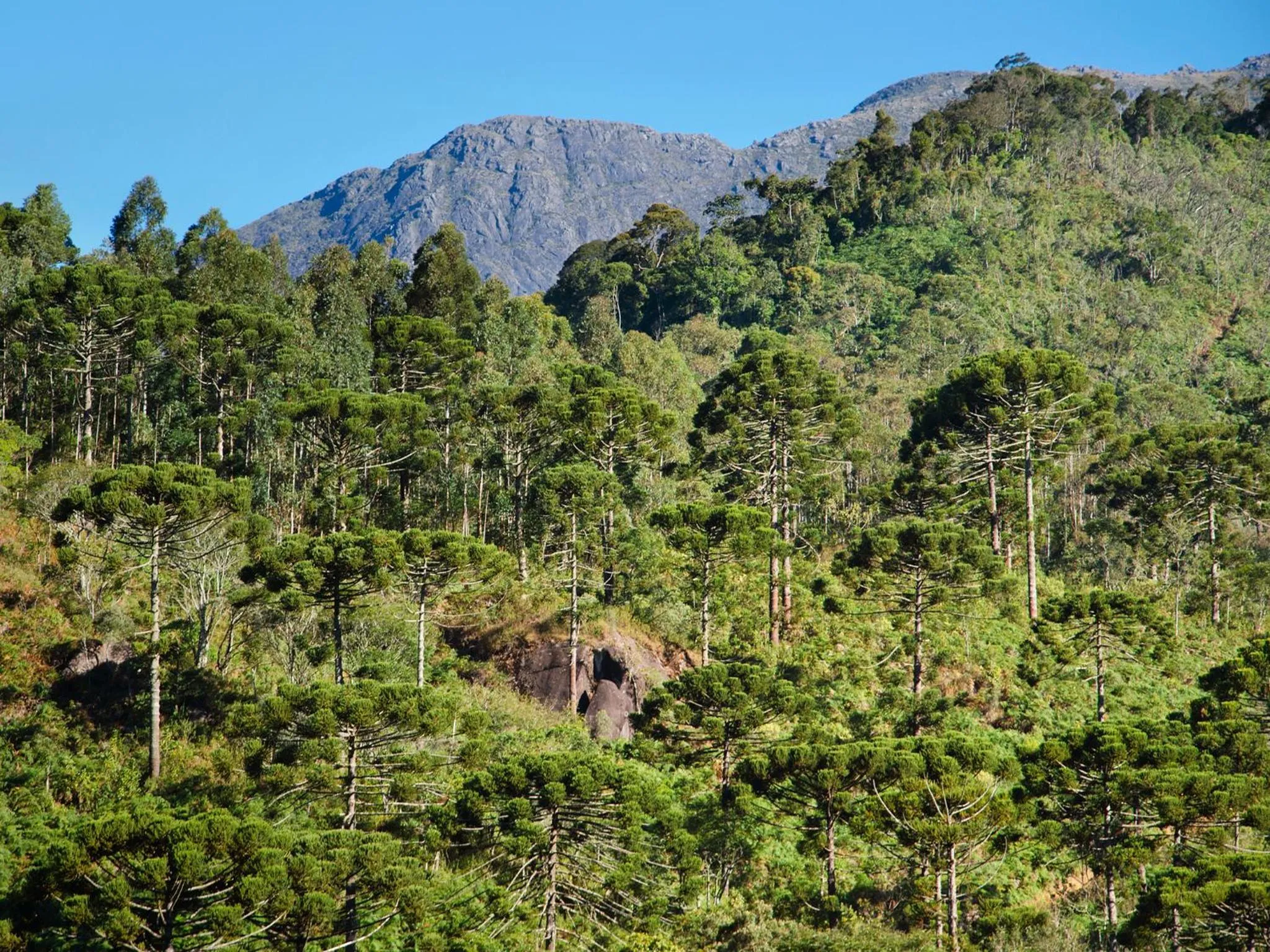 Hiking in Pousada da Gruta