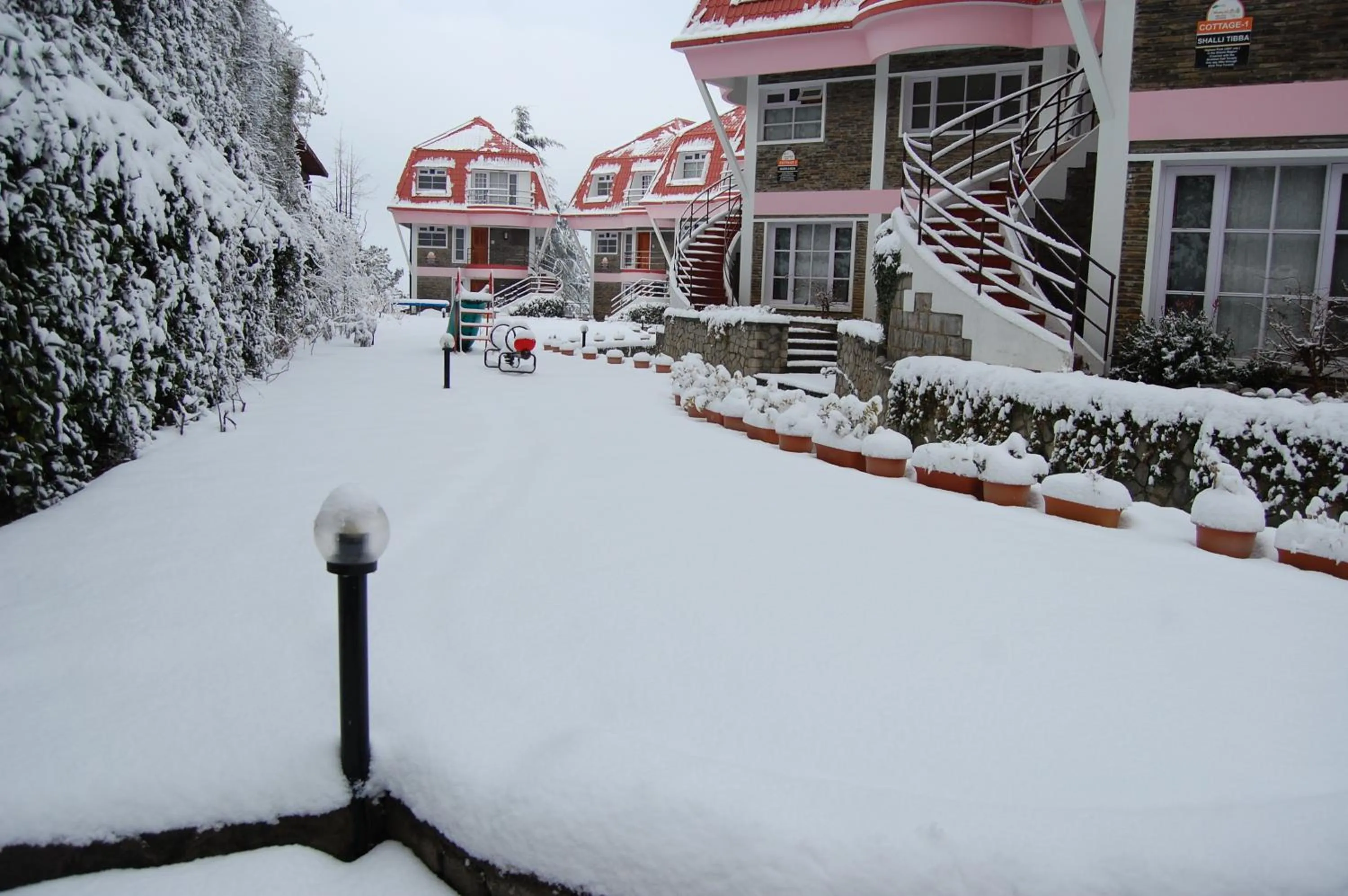 Winter in Marigold Sarovar Portico Shimla