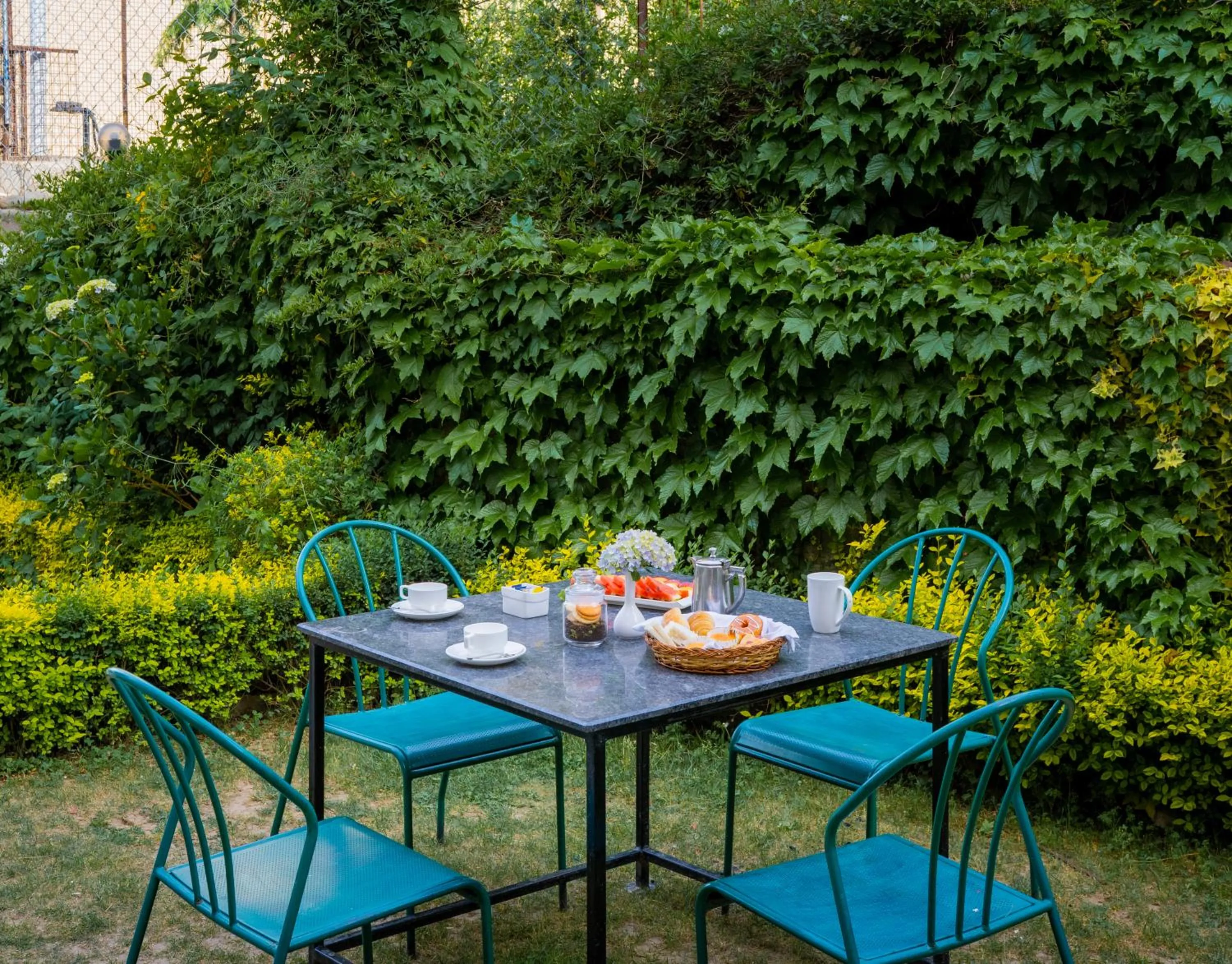 Day in Marigold Sarovar Portico Shimla