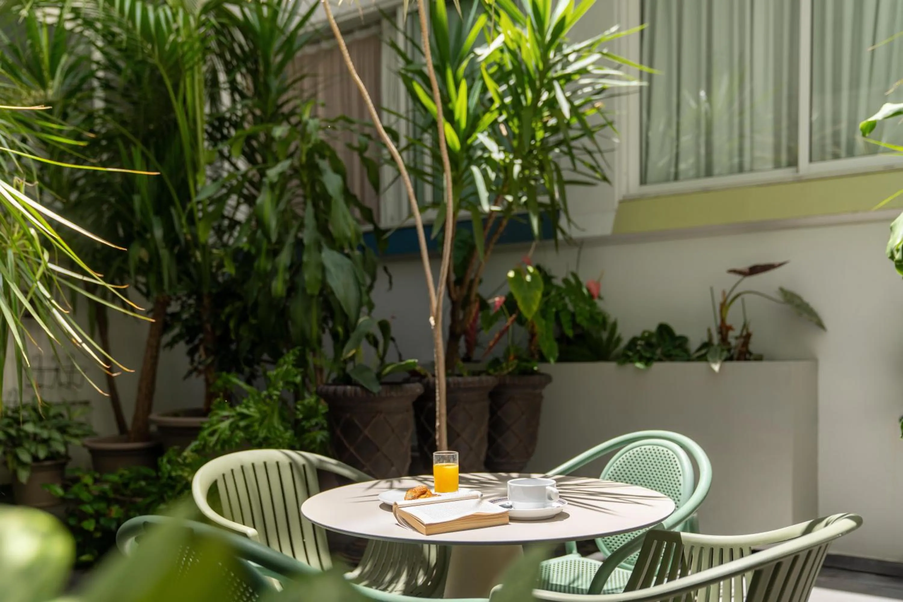 Garden in Hotel Madeira