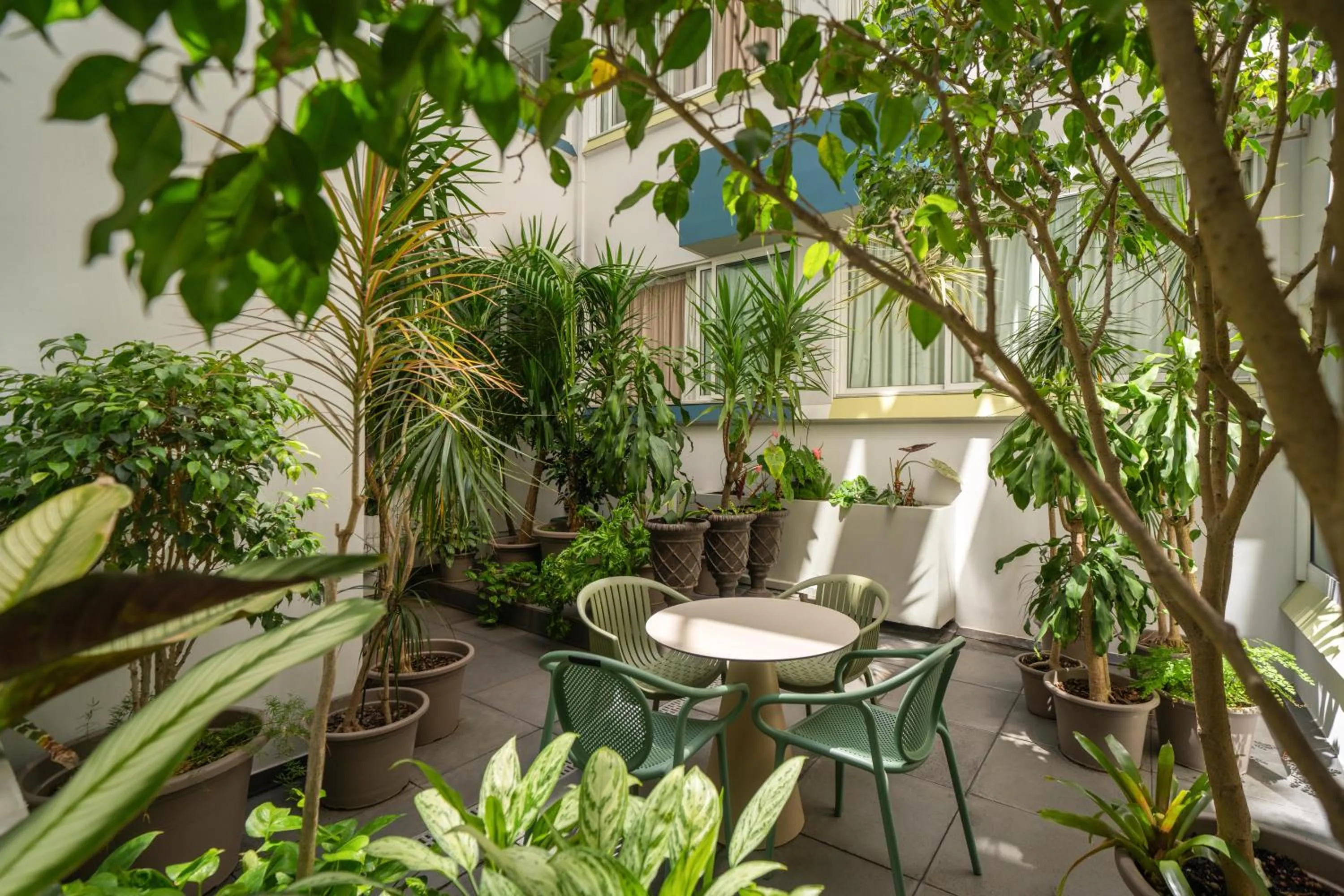 Garden in Hotel Madeira