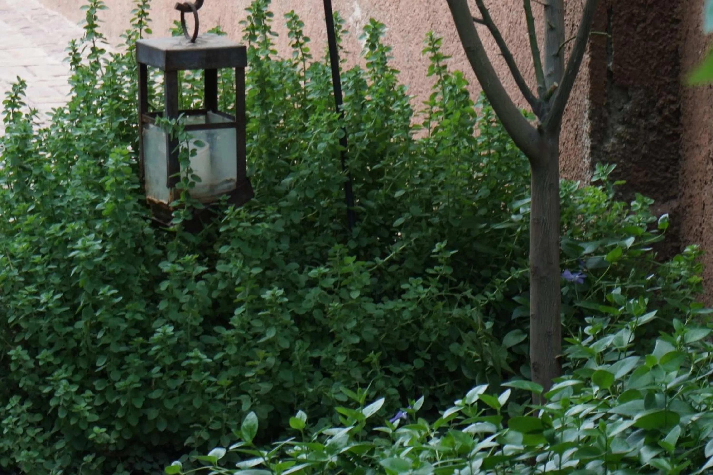 Decorative detail in Casa Lila
