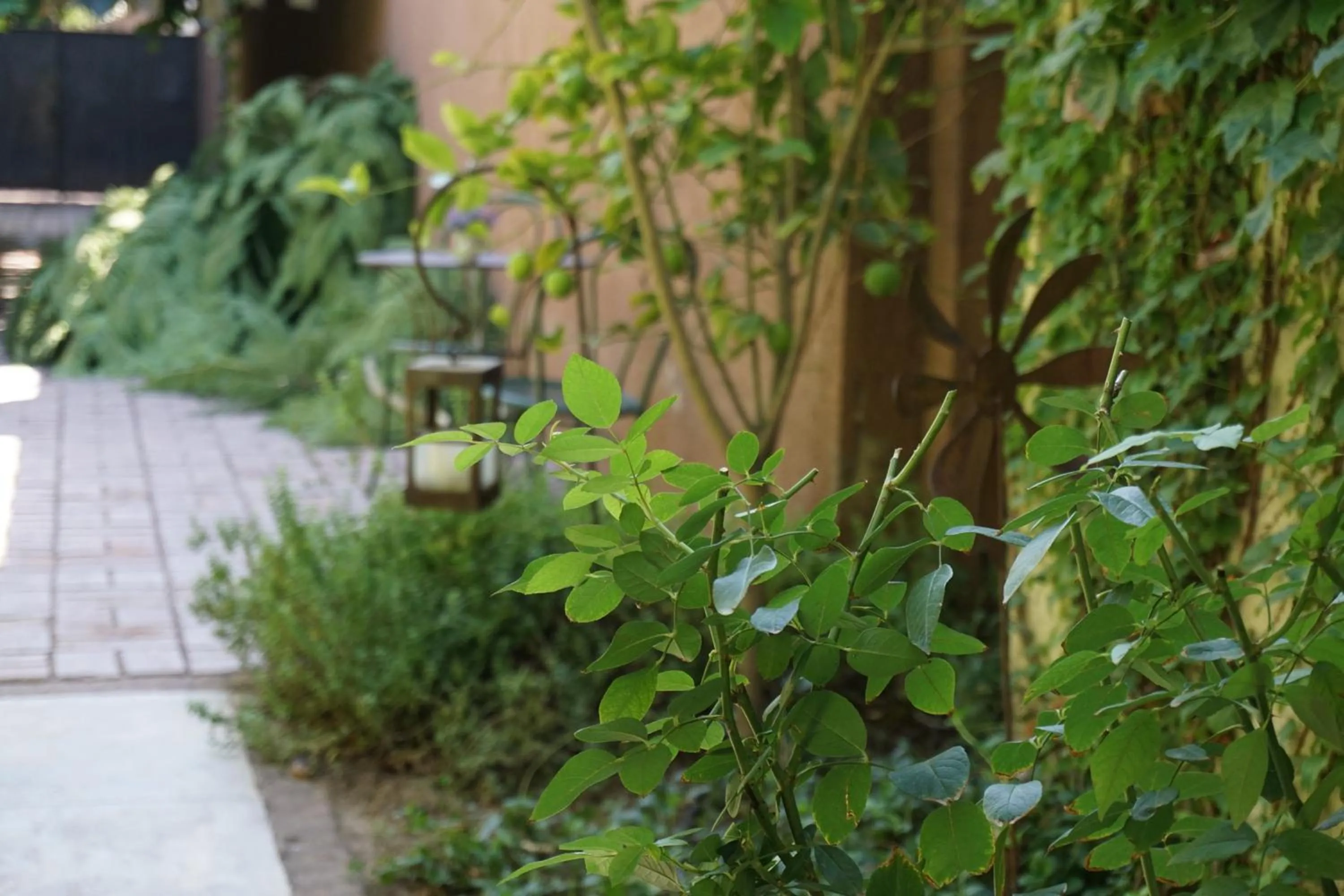 Decorative detail in Casa Lila