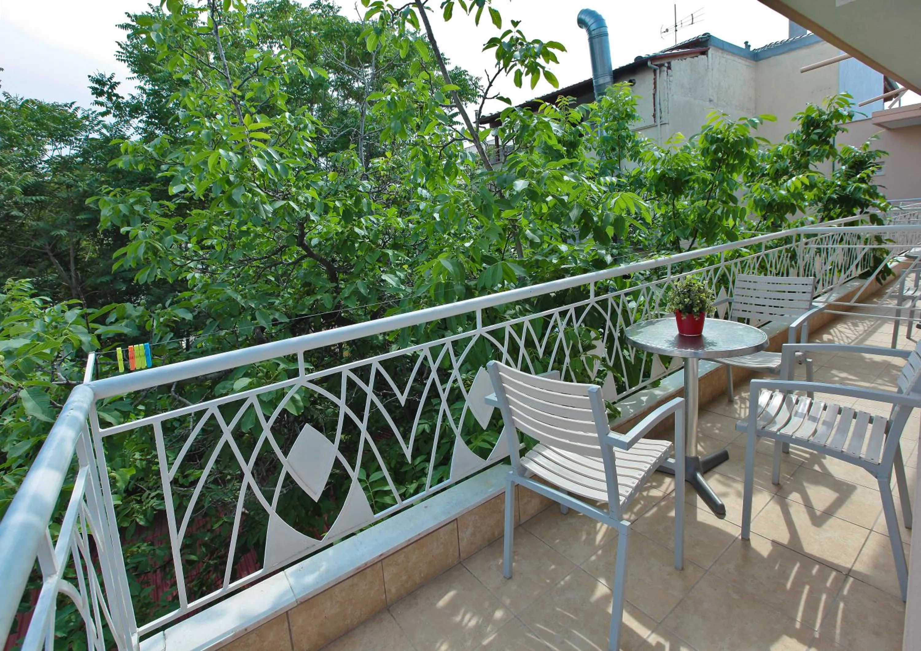 Garden view in Hotel Epavli