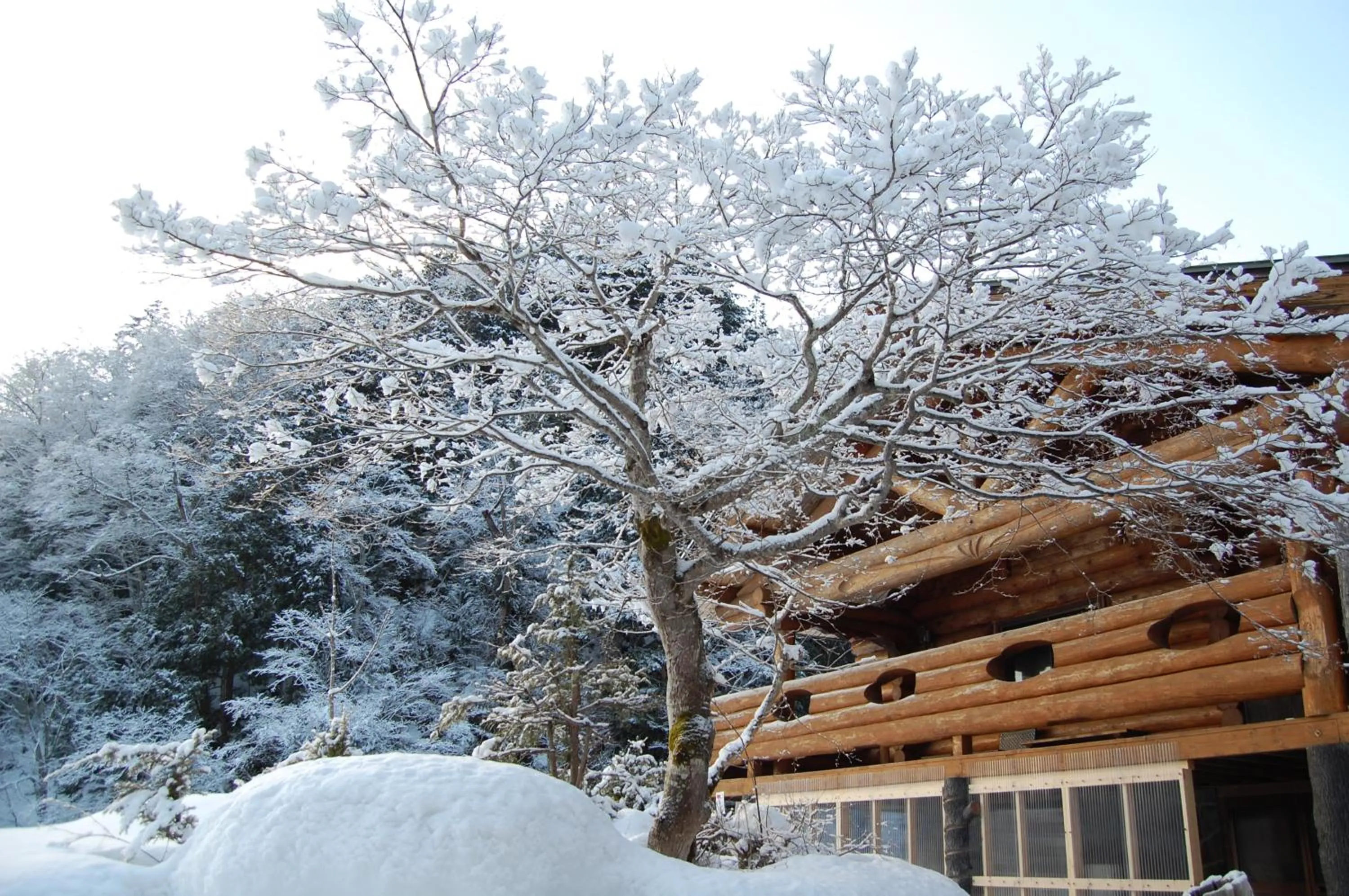 Property building in Hacho no Yu