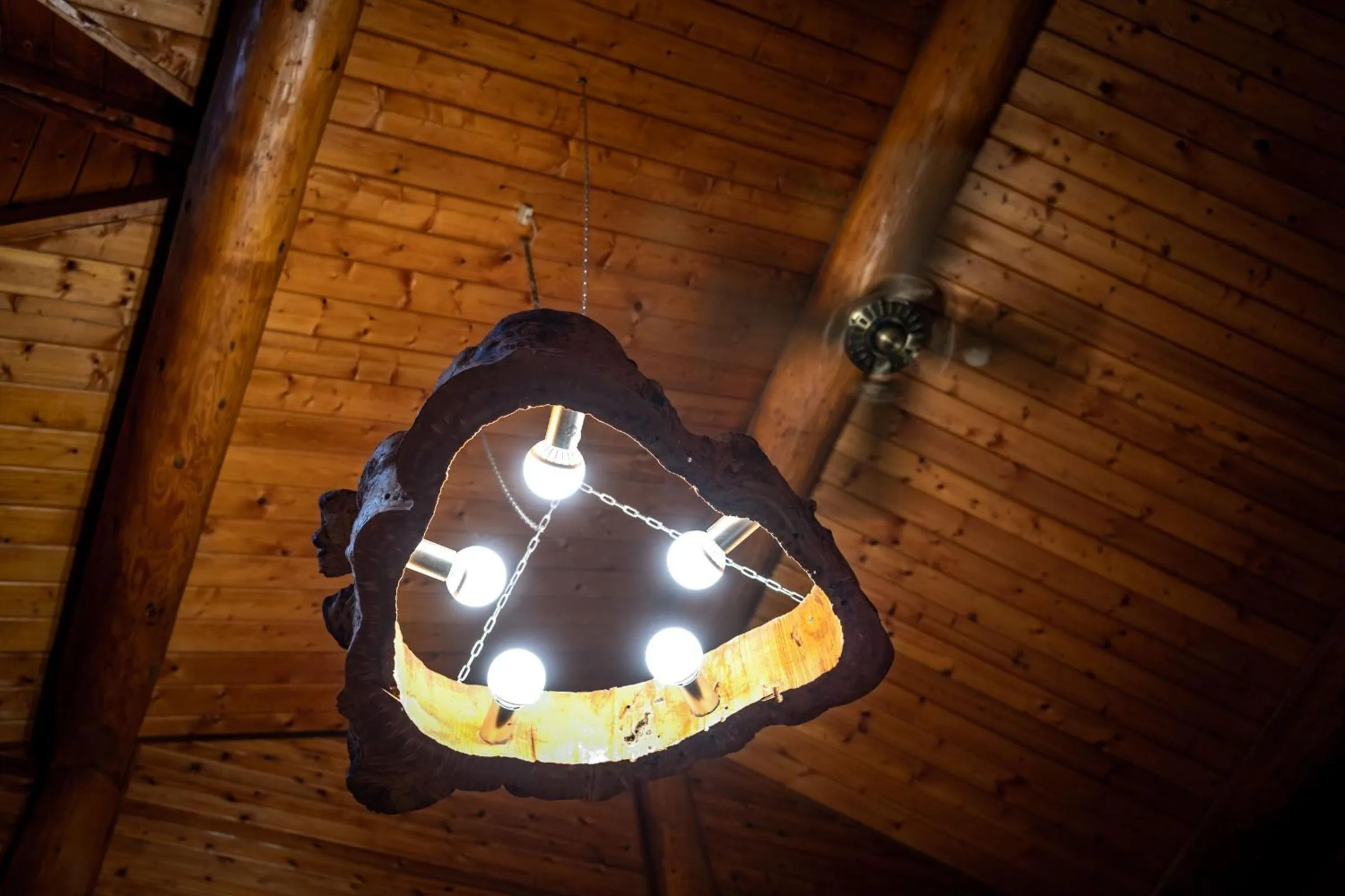 Decorative detail in Hacho no Yu