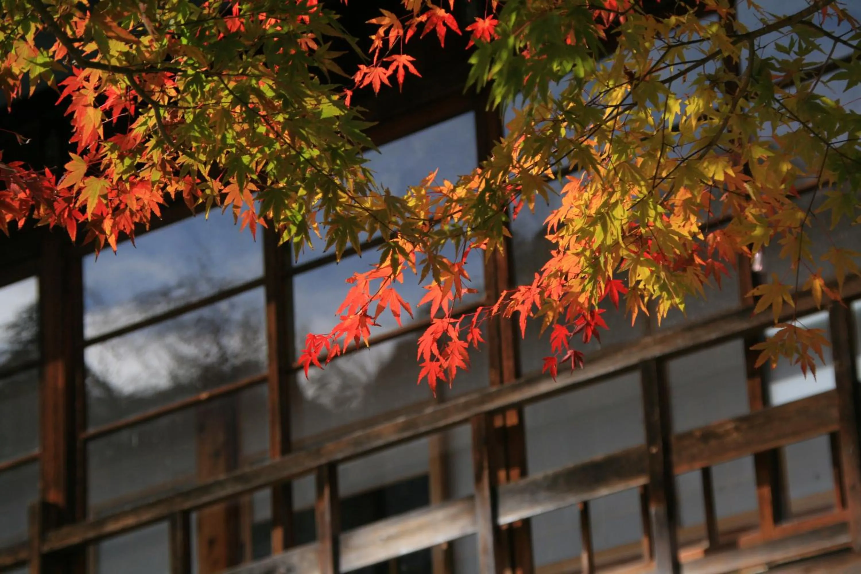 Property building in Hacho no Yu