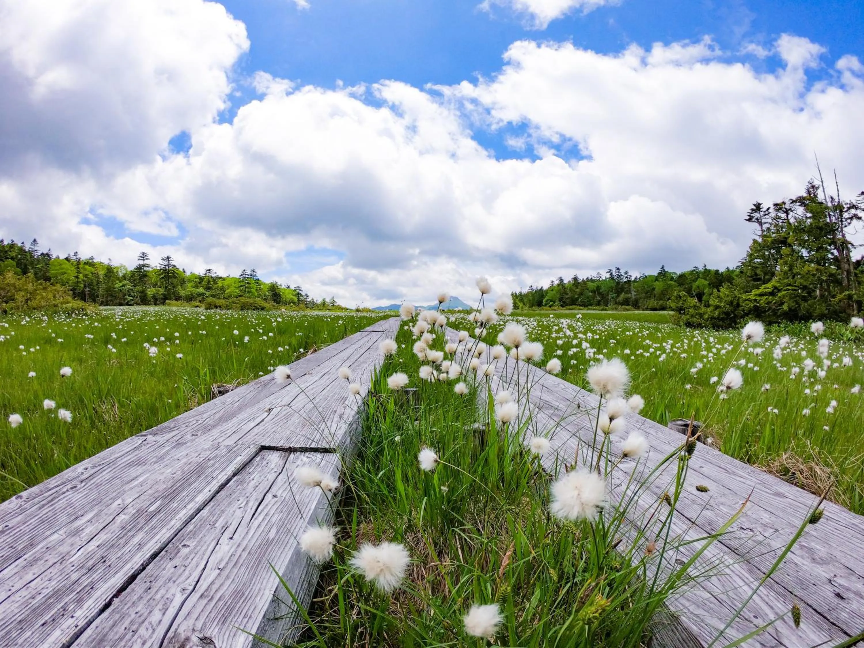Natural landscape in Hacho no Yu