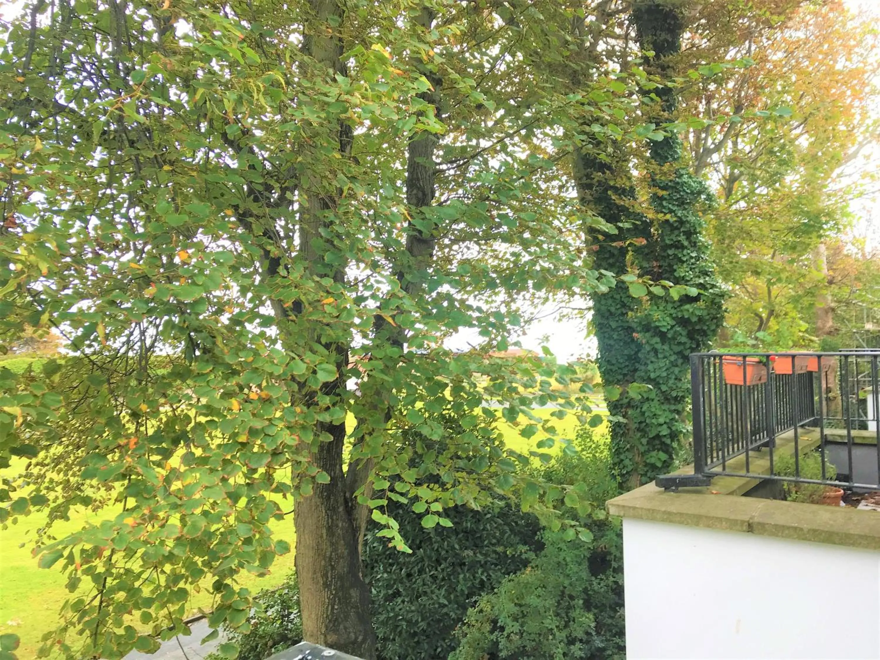 Balcony/Terrace in Seaside Cottage with Parking
