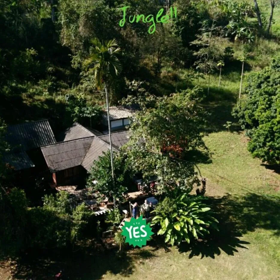 Jungle guest house