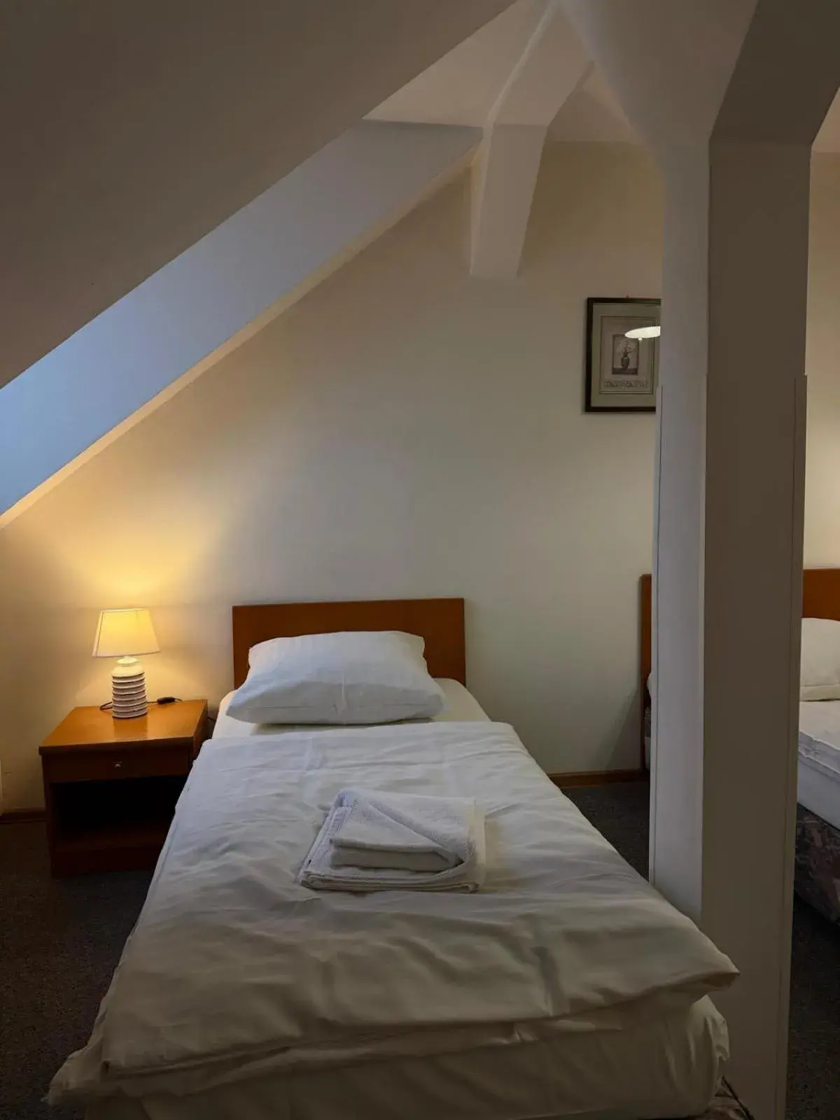 Deluxe Double Room - single occupancy in Hotel Dana Deluxe Double Room - single occupancy in Hotel Dana