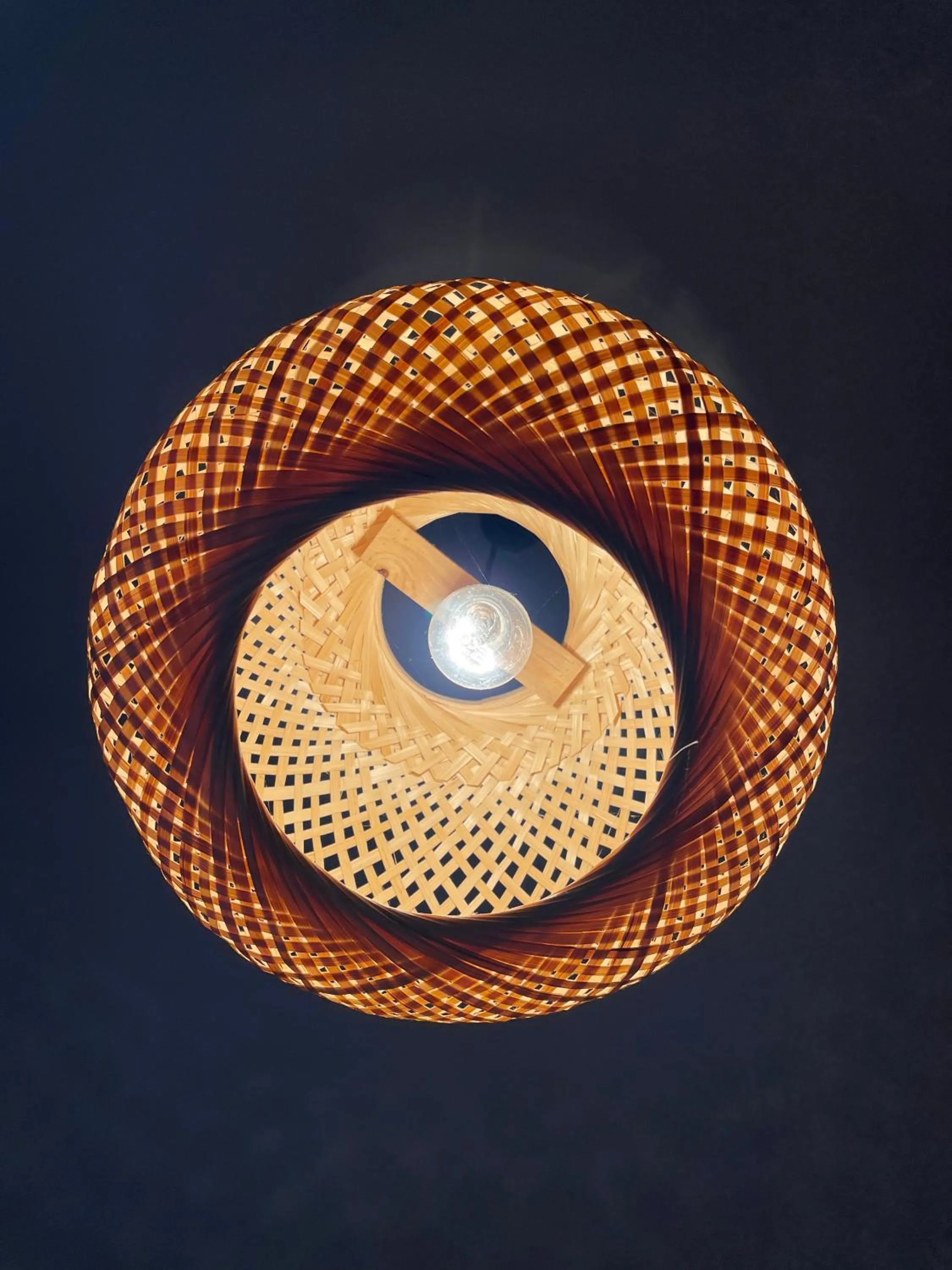 Other in Willa Karolinka