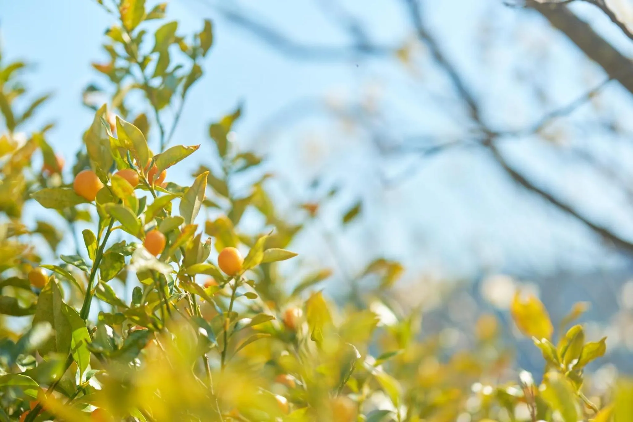 Suikouen / Vacation STAY 51966