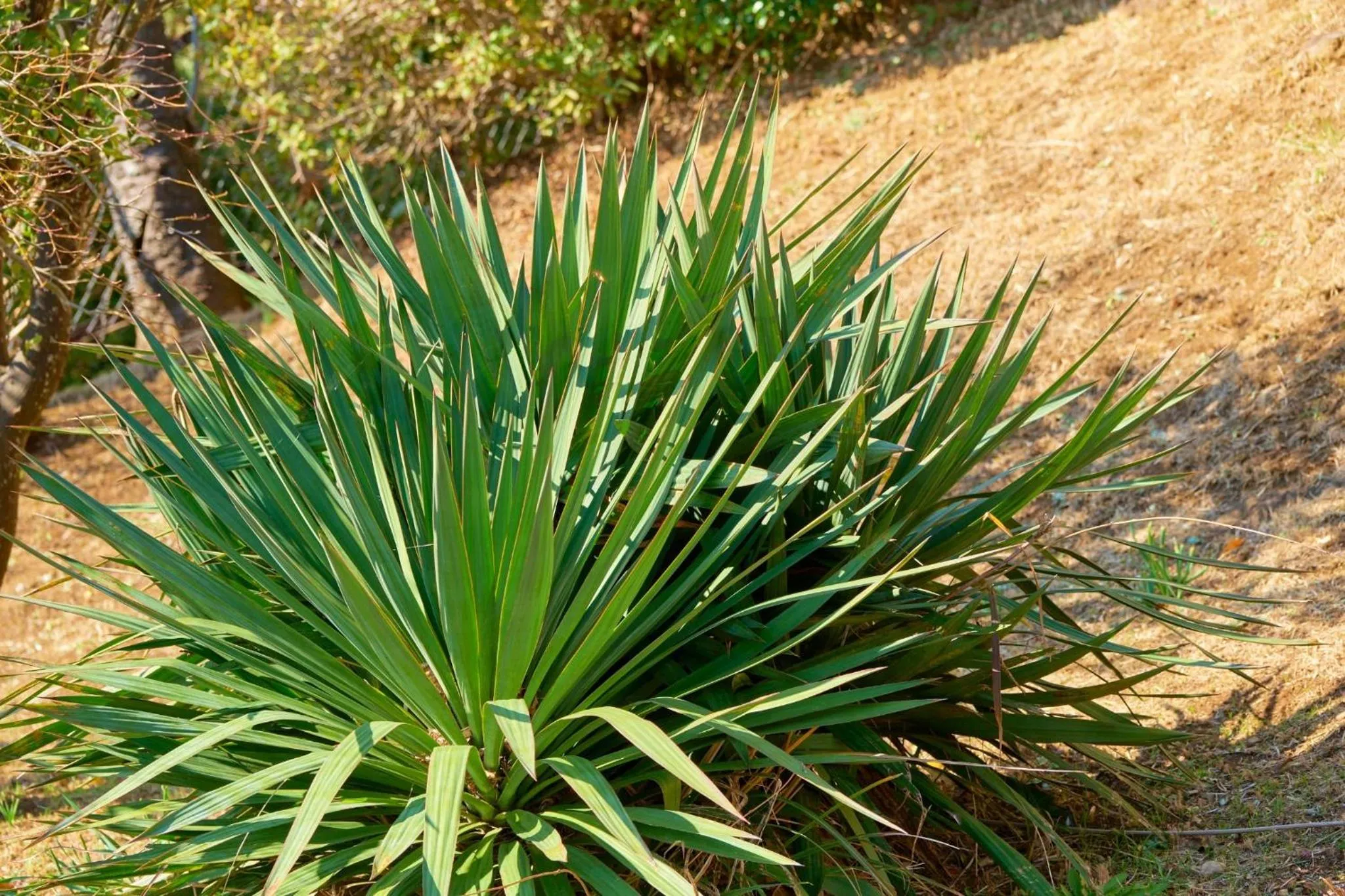 Suikouen / Vacation STAY 51966