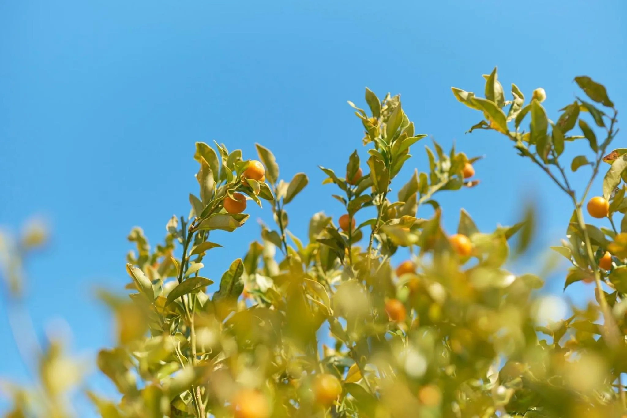 Suikouen / Vacation STAY 51966