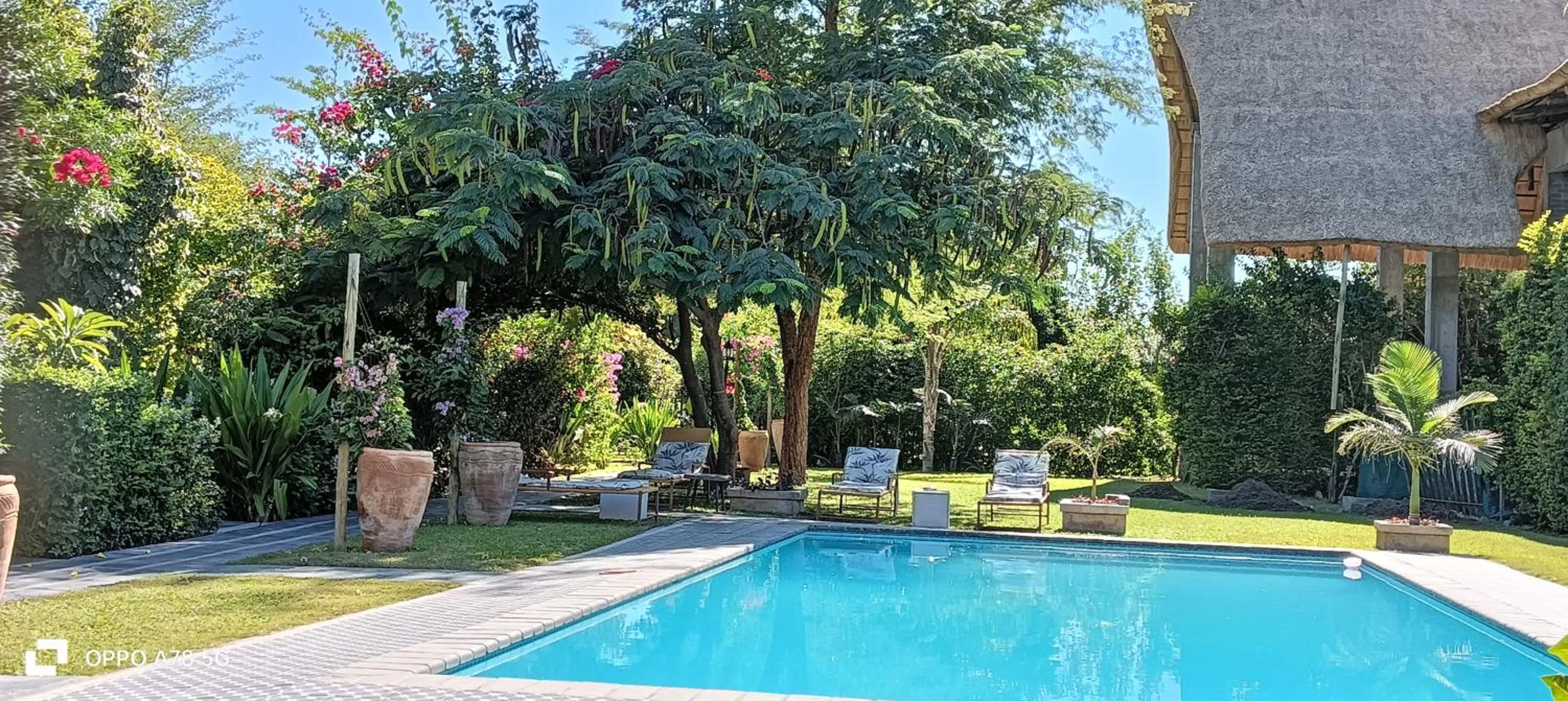 Garden in Sunbirds Lodge Chobe
