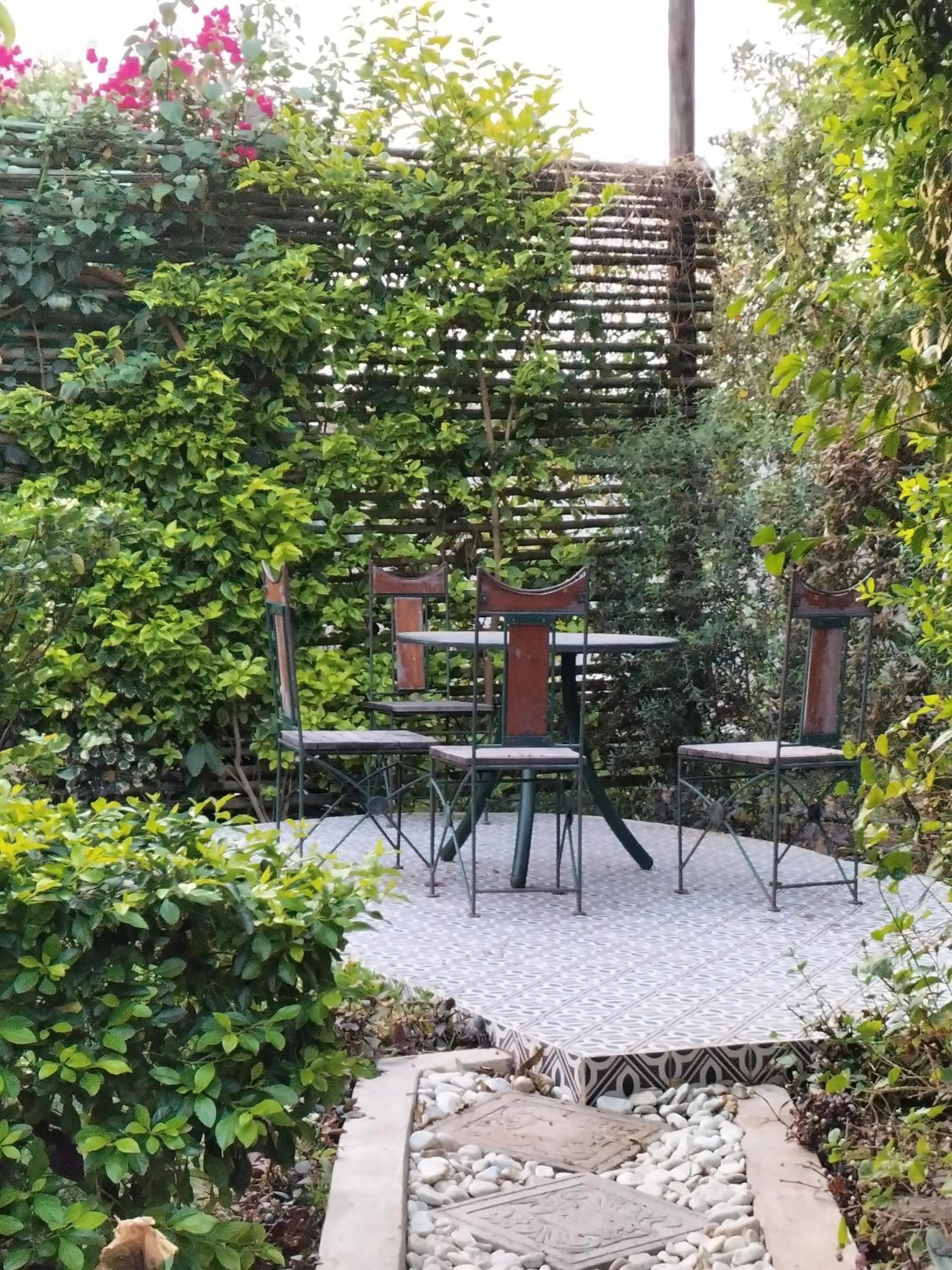 Garden in Sunbirds Lodge Chobe