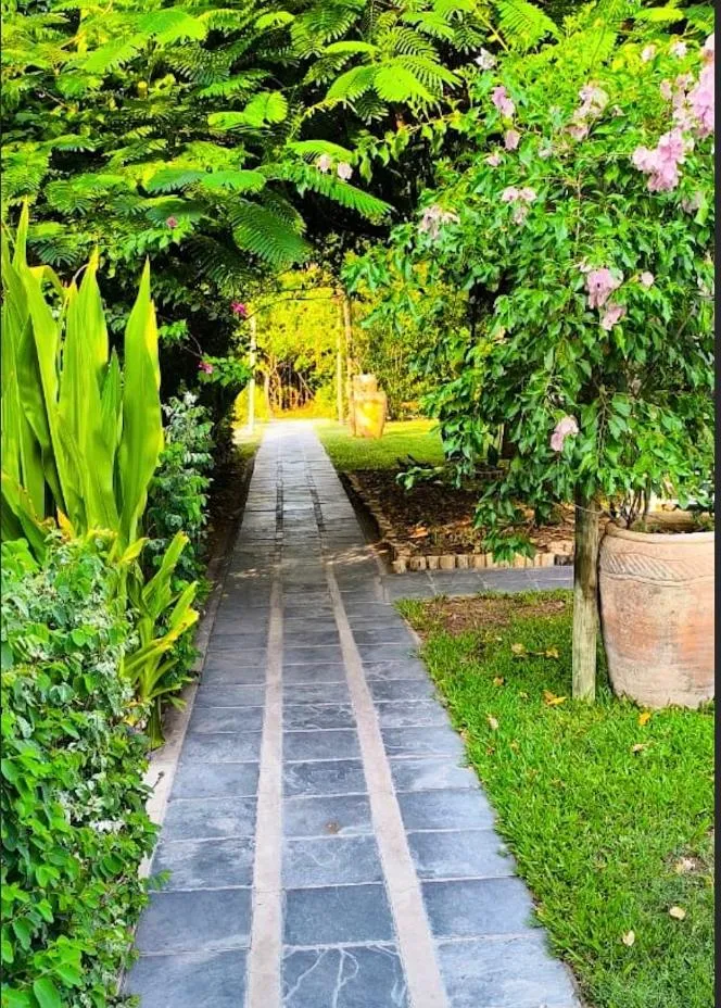 Garden in Sunbirds Lodge Chobe