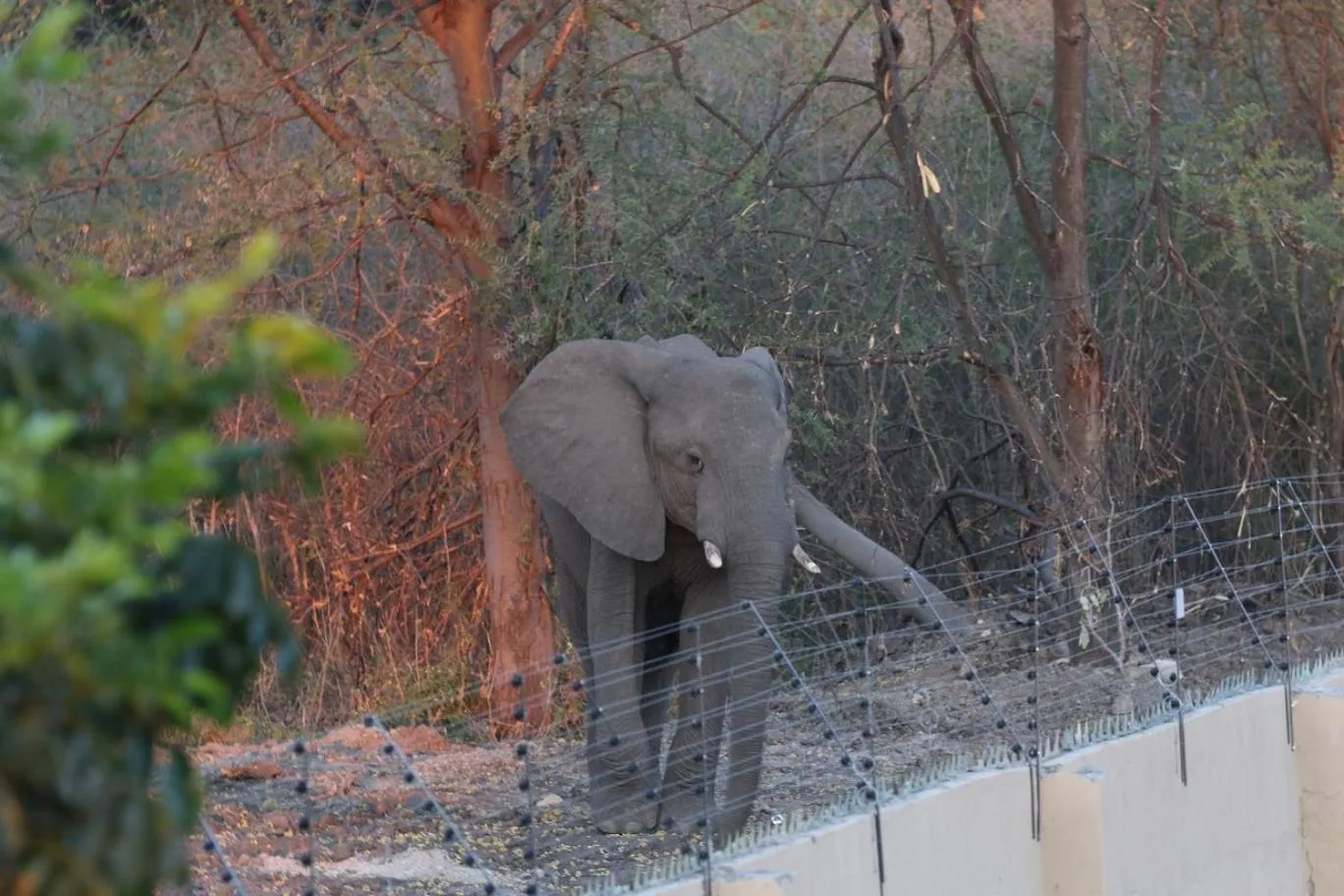 Natural landscape in Sunbirds Lodge Chobe