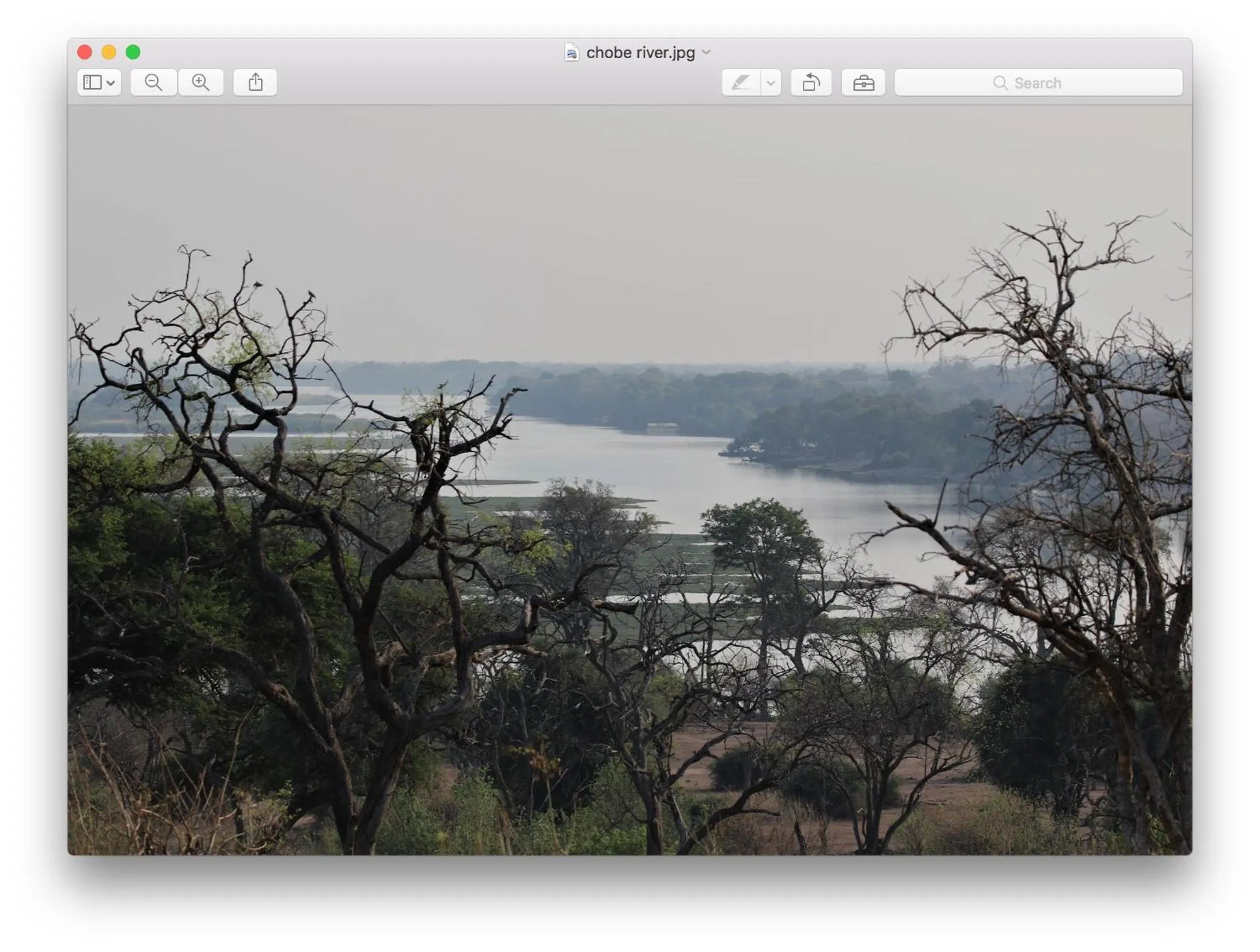 Natural landscape in Sunbirds Lodge Chobe