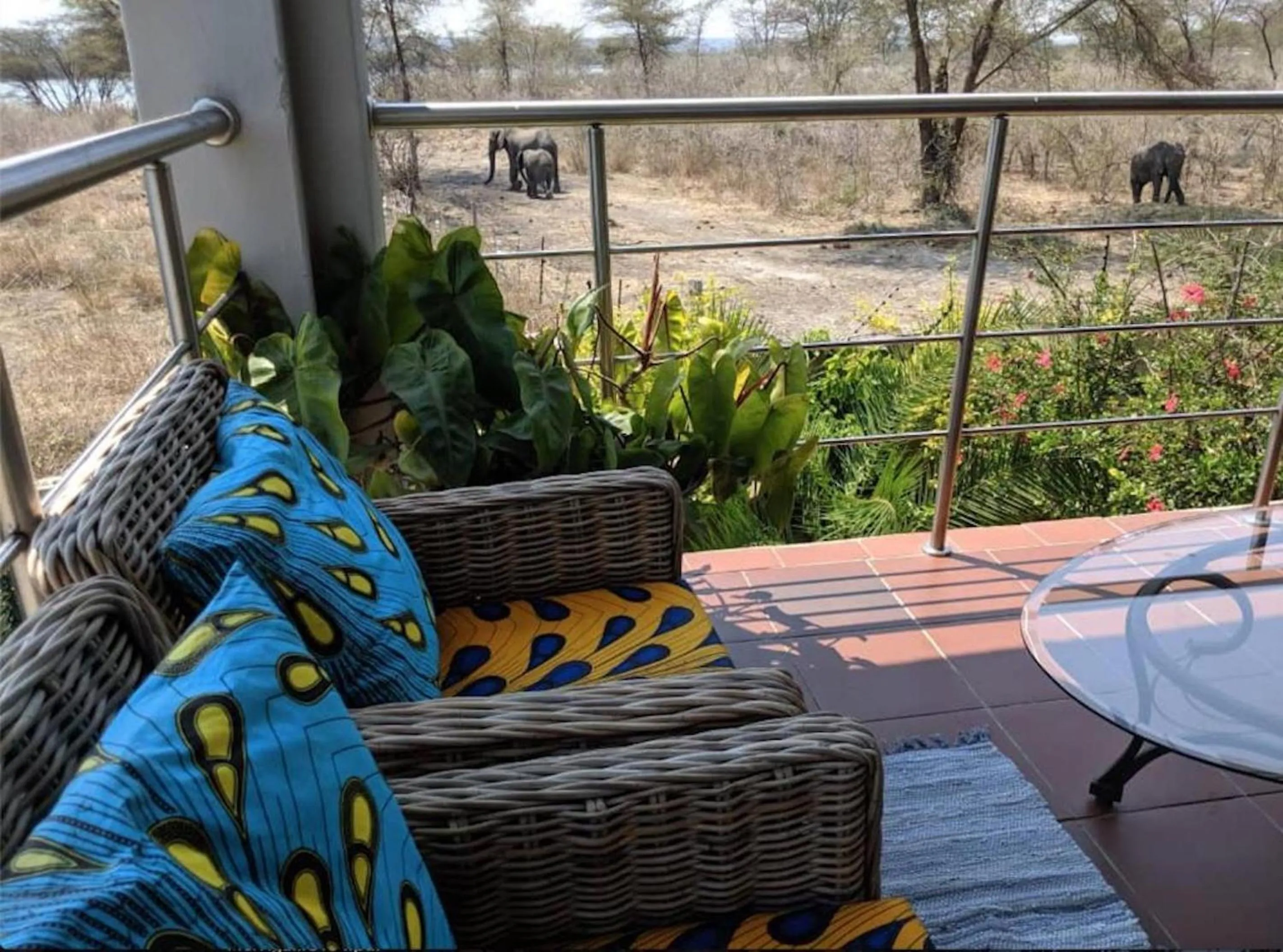 View (from property/room) in Sunbirds Lodge Chobe