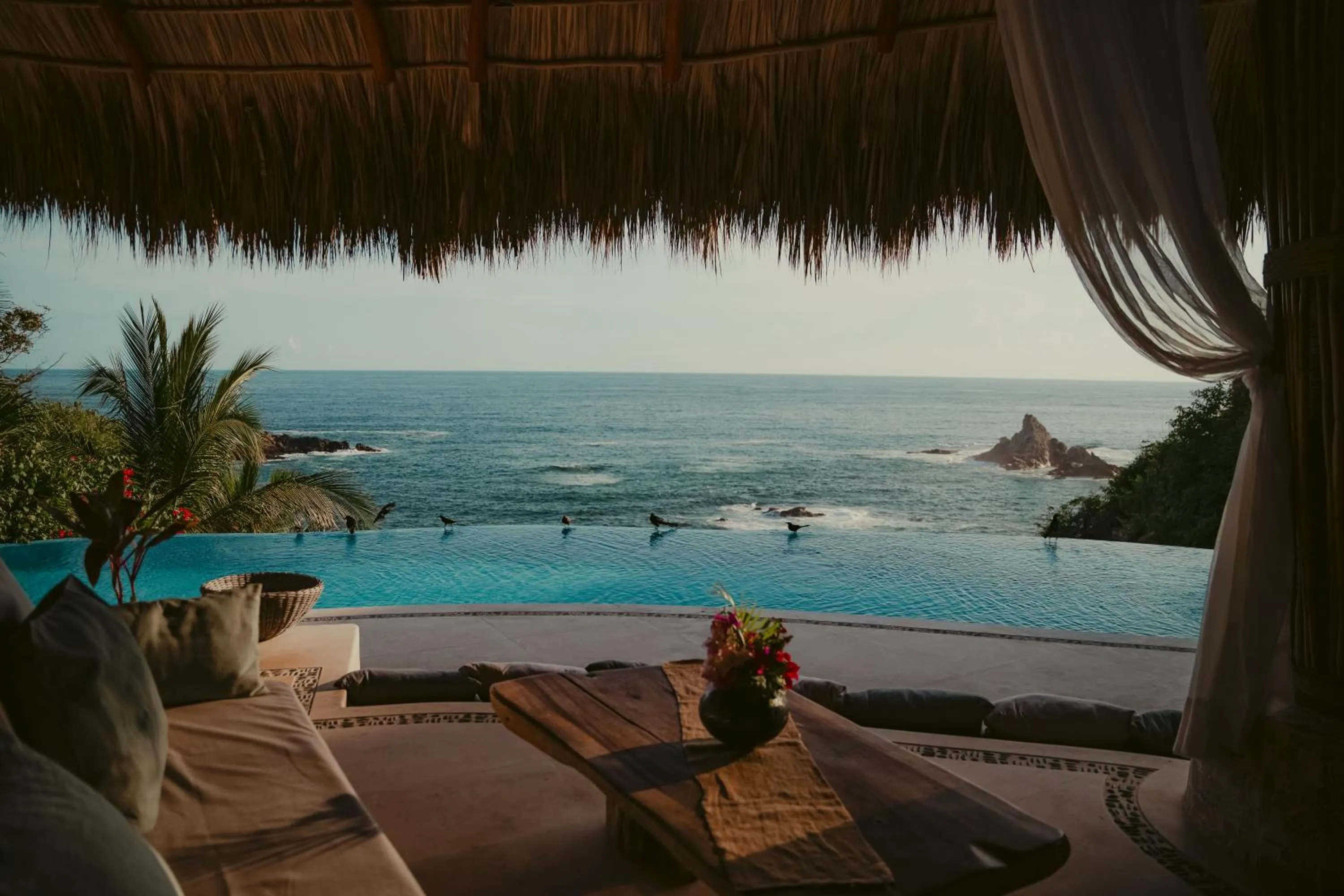 Pool view in ZOA Hotel - Adults Only