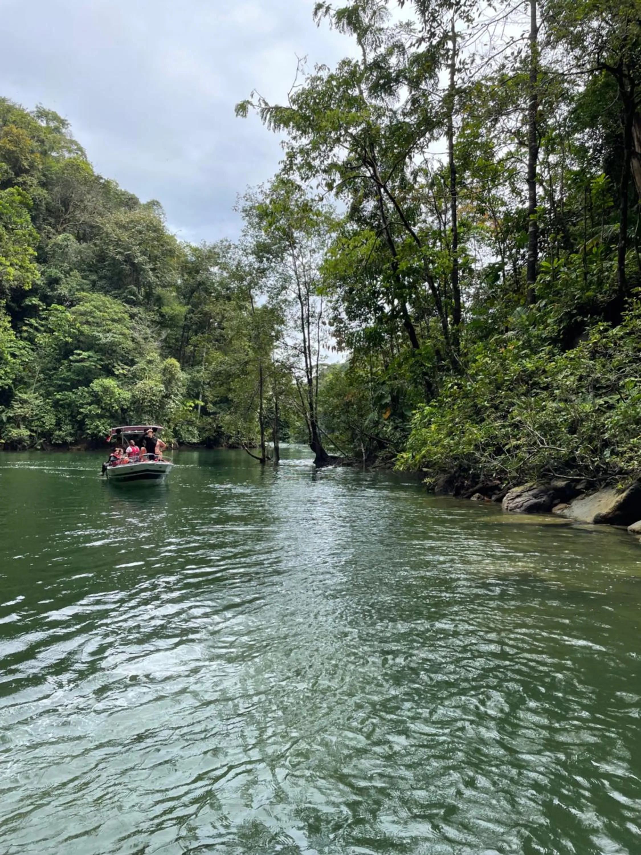 Natural landscape in PlazaMar Pacifico Hotel