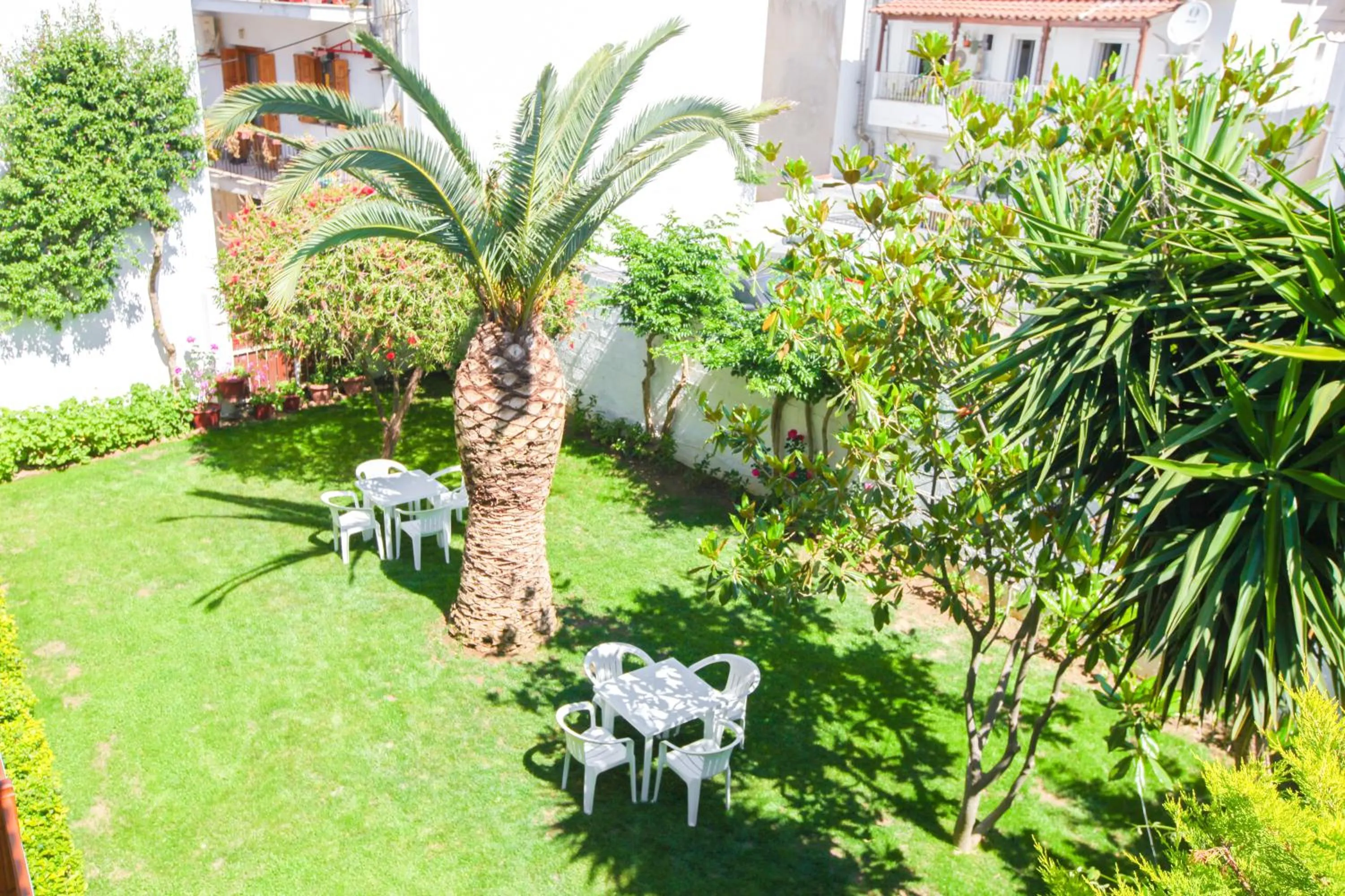 Garden in Skiathos House