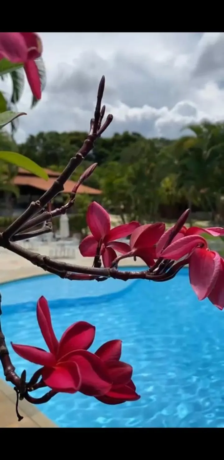 Estalagem Alter Real