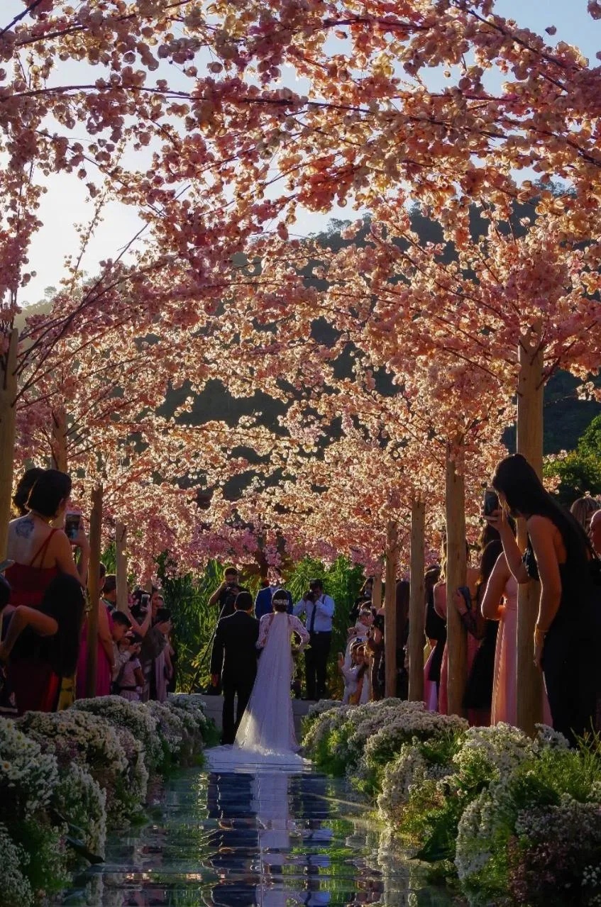 Activities in Estalagem Alter Real