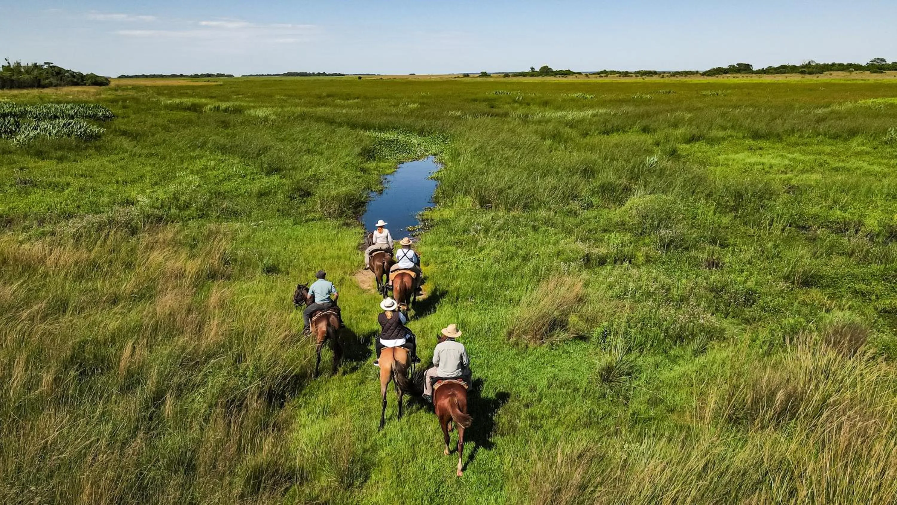 Activities in El Tránsito Hotel Boutique