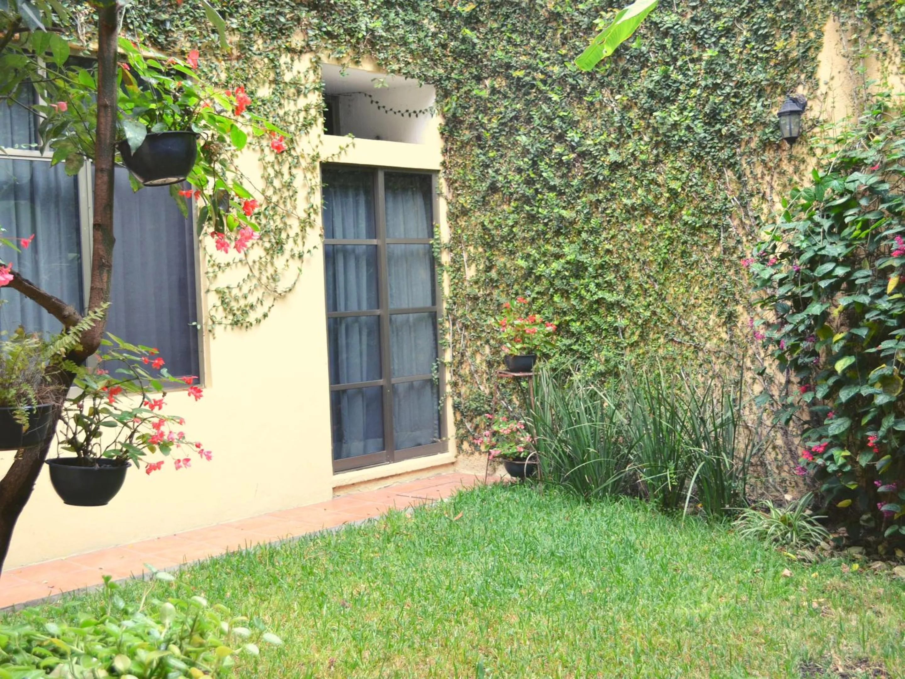 Garden in Hotel Don Nino