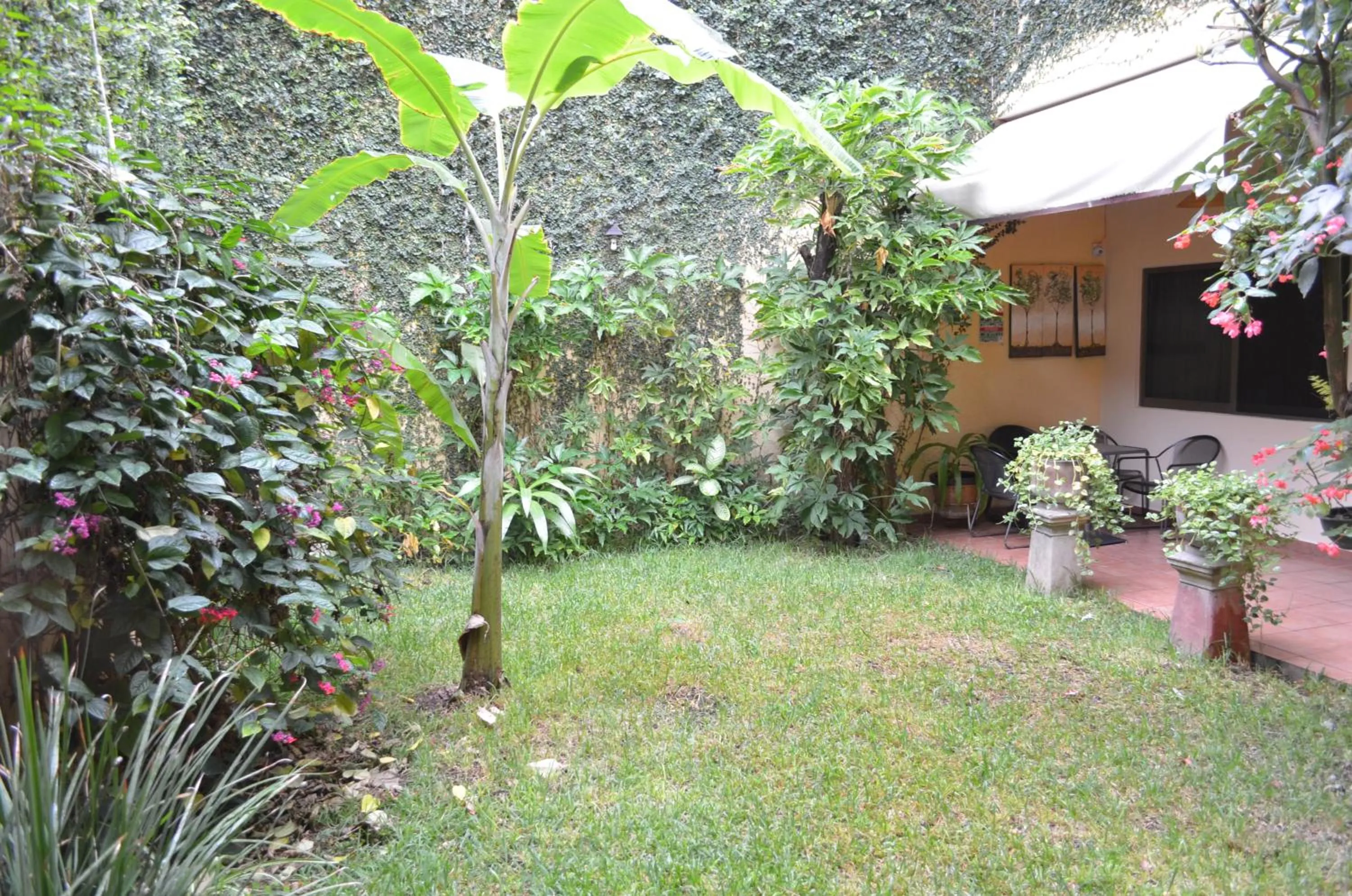 Patio in Hotel Don Nino