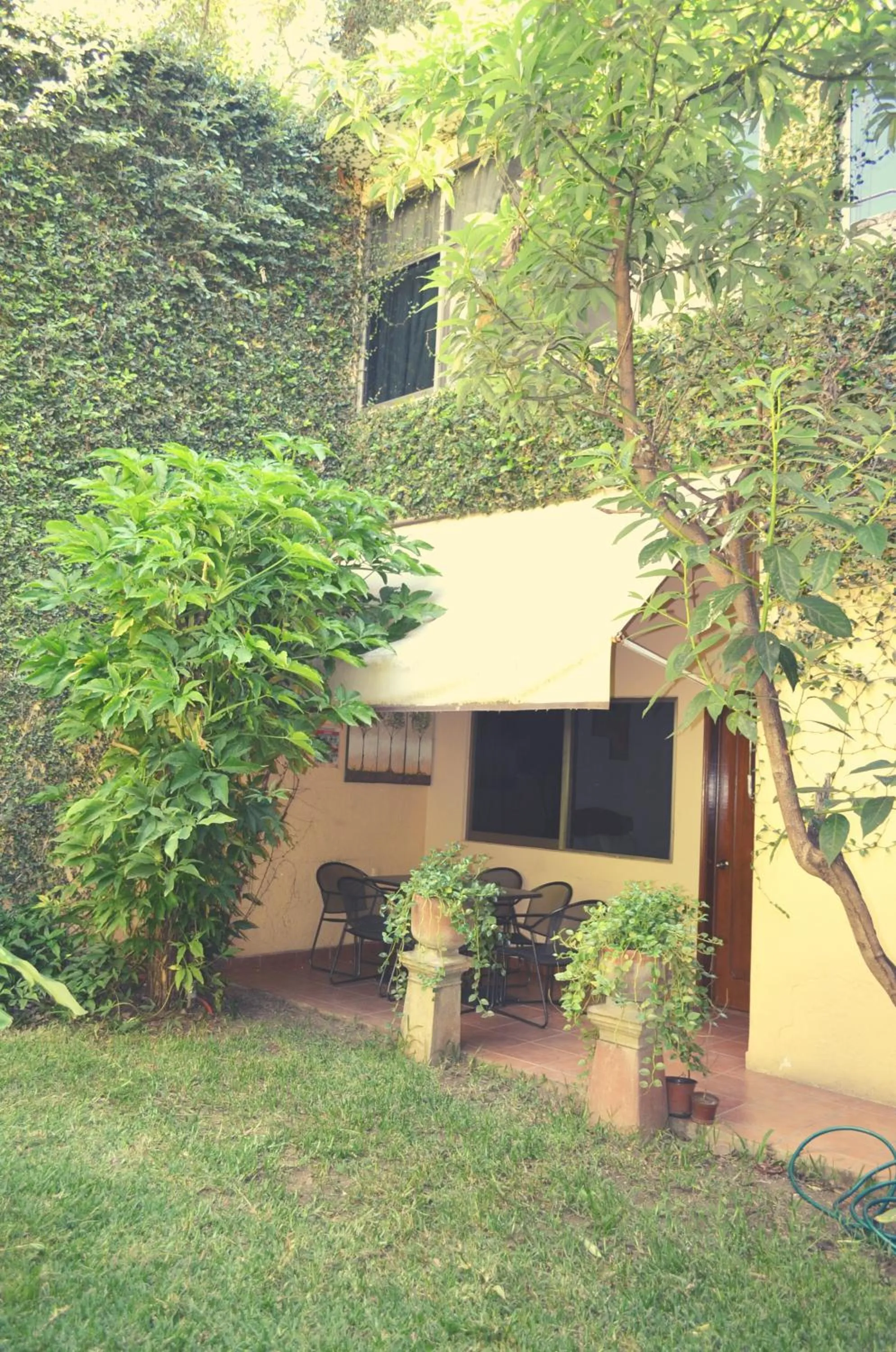 Garden in Hotel Don Nino