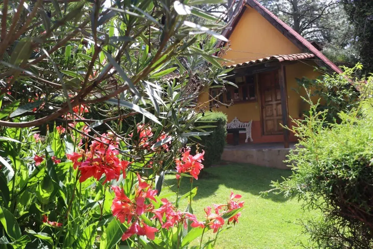 One-Bedroom House in Cabañas Lupita One-Bedroom House in Cabañas Lupita
