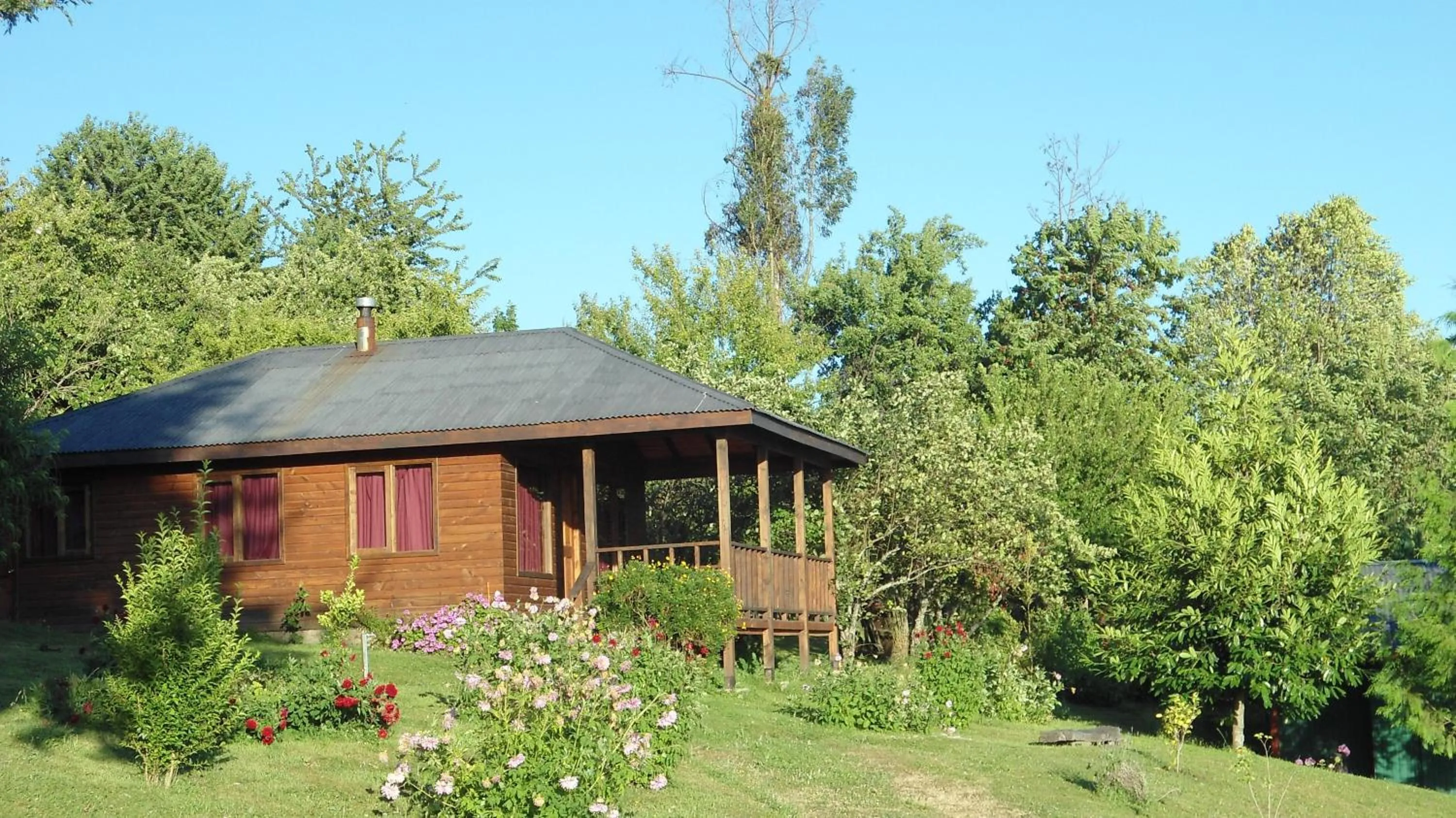 Garden in Apart hotel Puchaley Lafquen