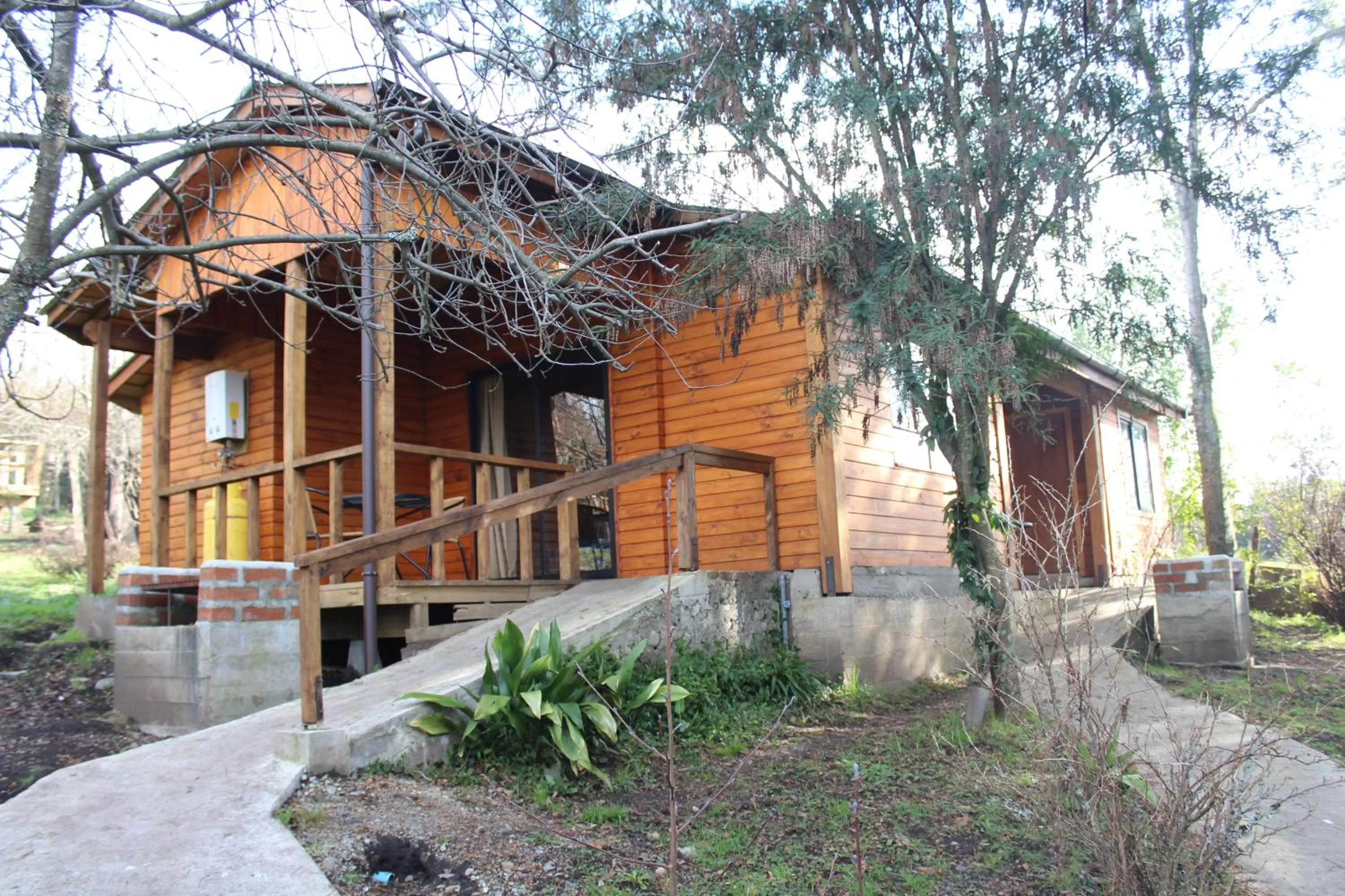 BBQ facilities in Apart hotel Puchaley Lafquen