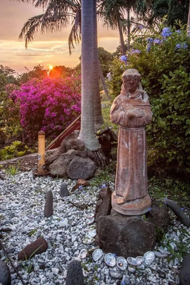 Garden in Banyan Tree Sanctuary Guest House