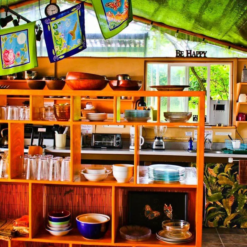 Kitchen or kitchenette in Banyan Tree Sanctuary Guest House