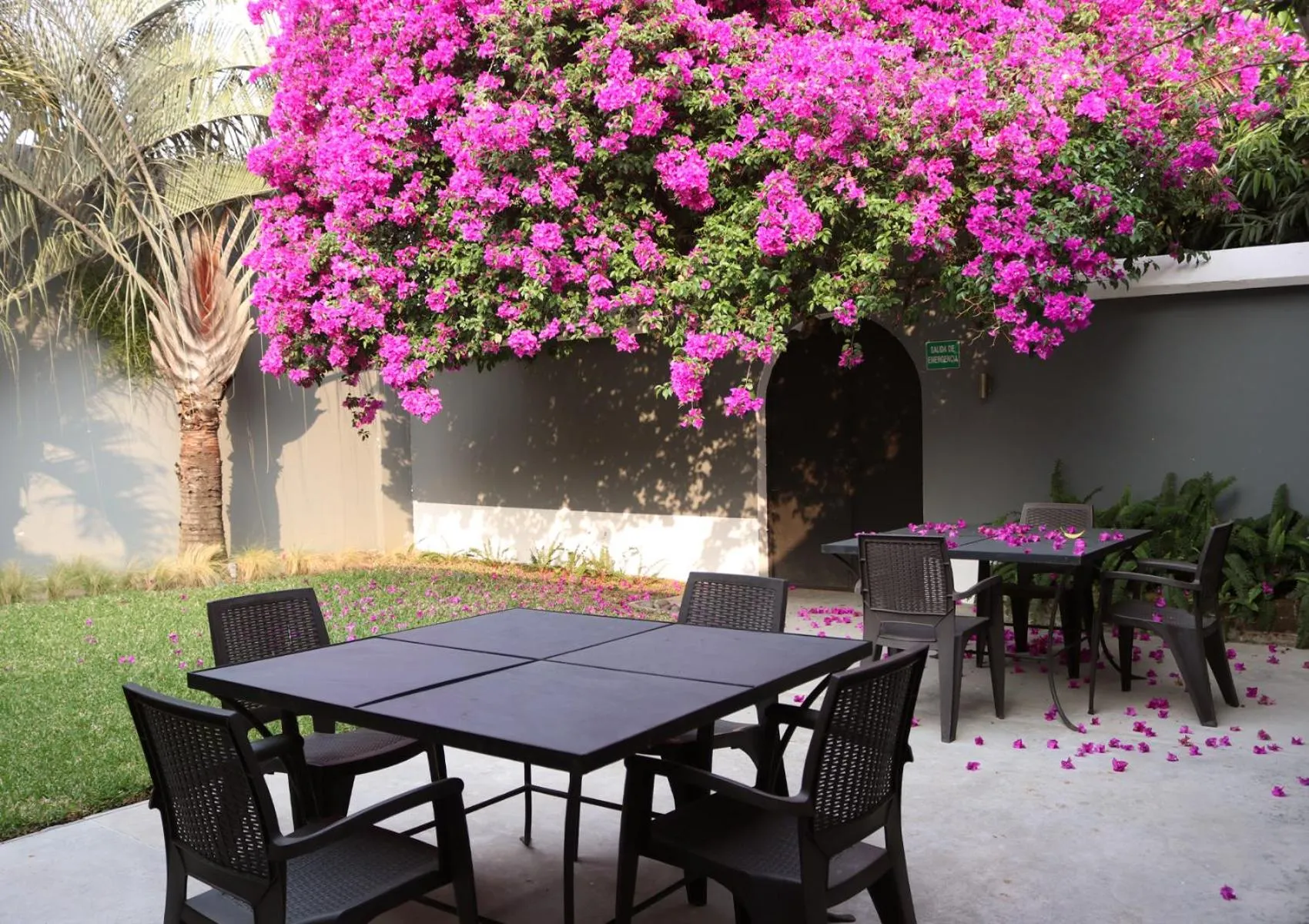 Patio in Il Buongustaio