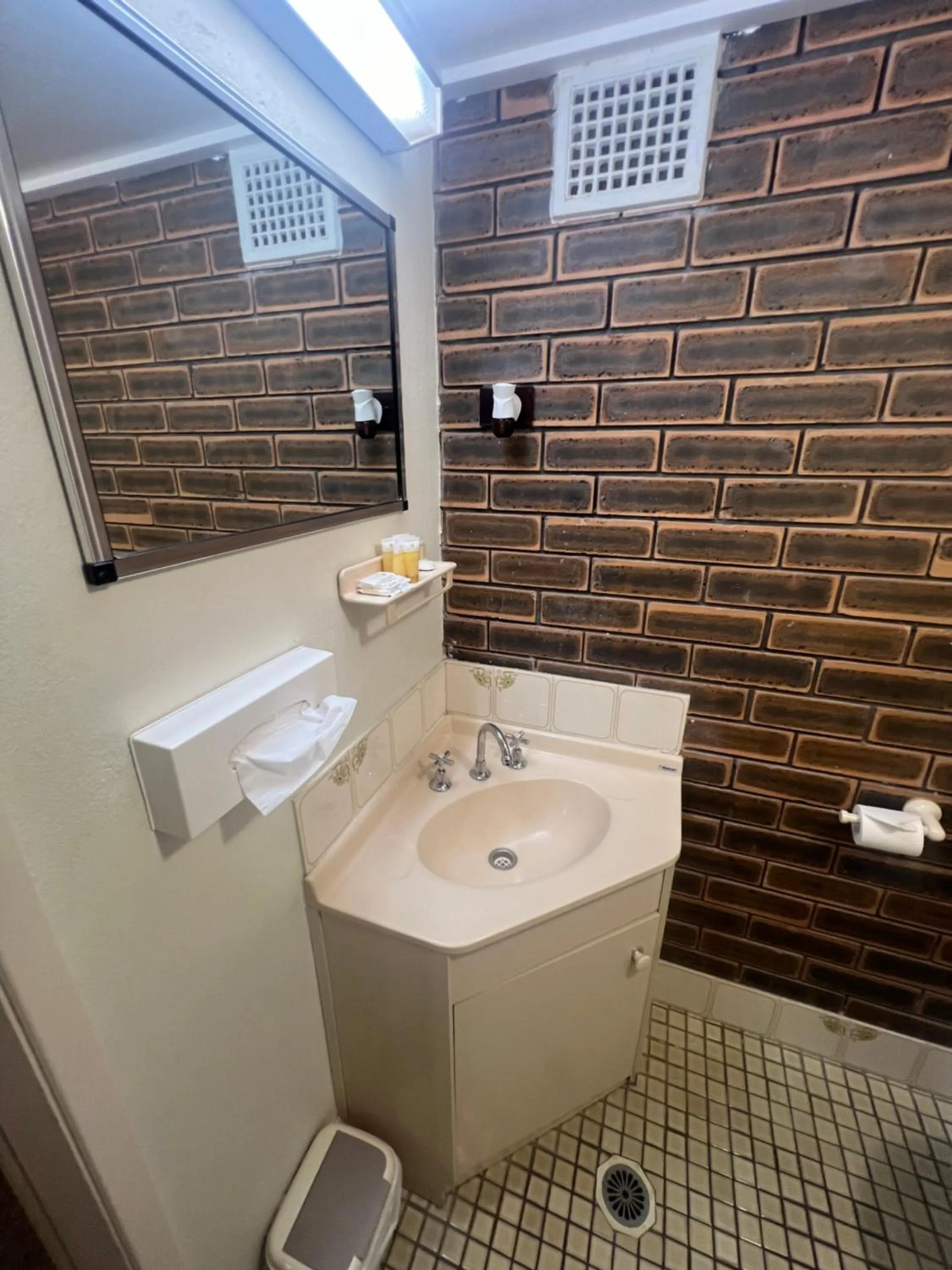 Bathroom in OVERLANDER MOTOR LODGE