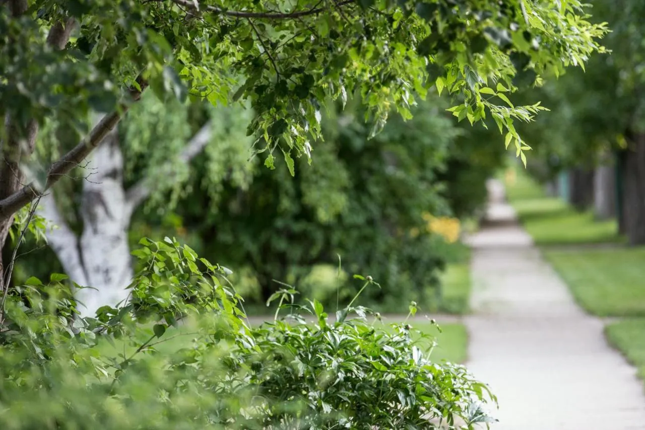 Charles Street Vacation Home