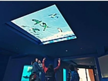 Activities in Shizuoka Town Hotel